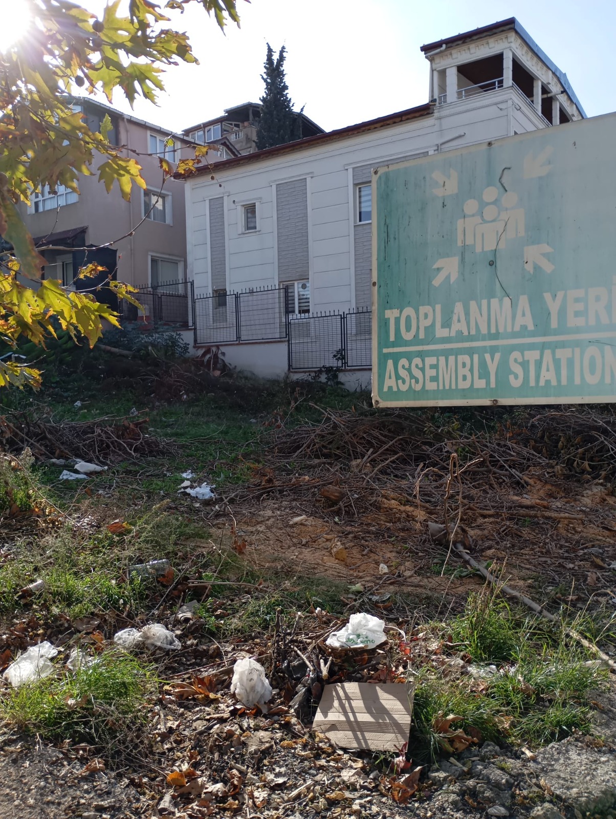 I M G 20251126 W A0085