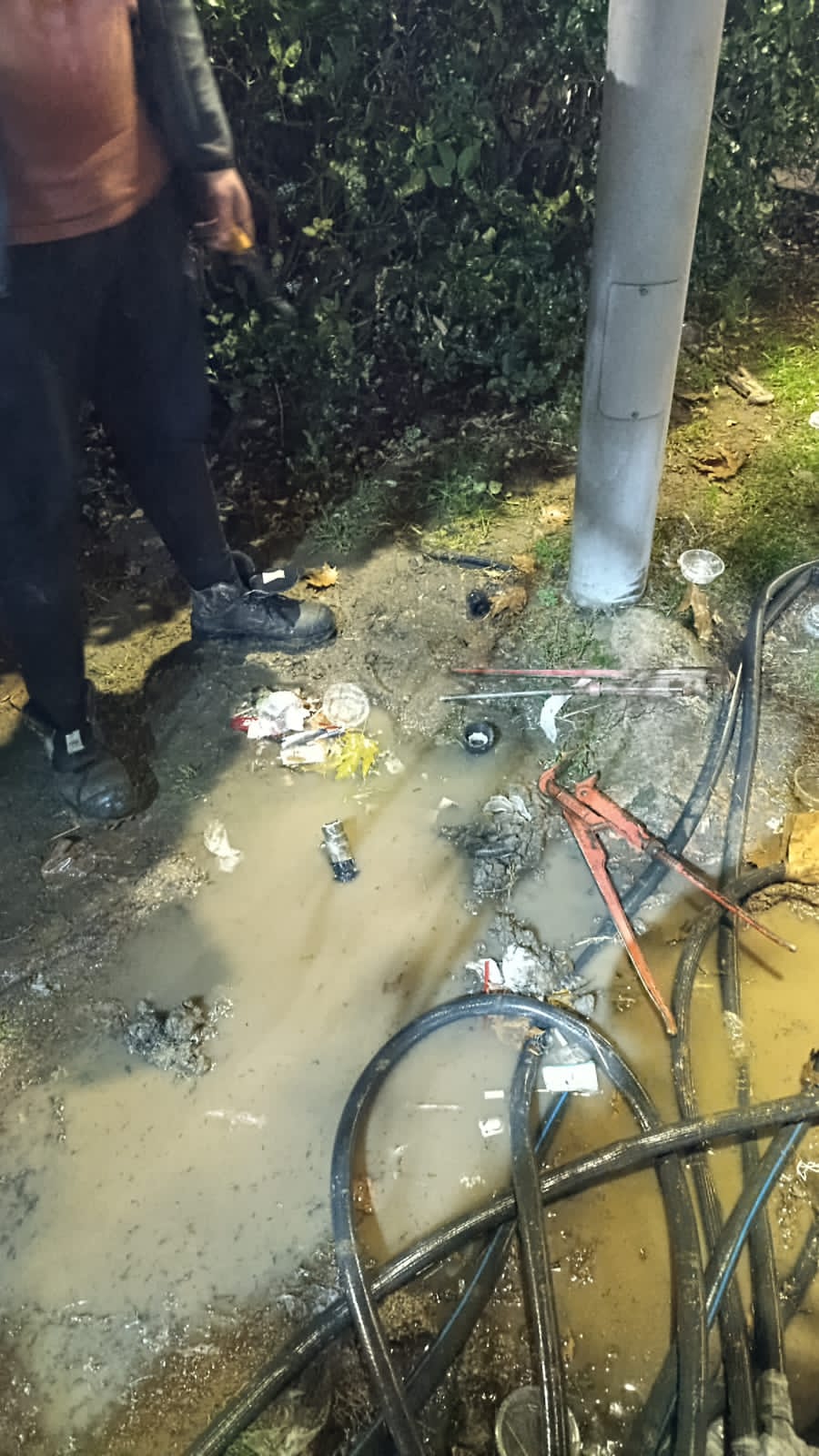 I M G 20251129 W A0000