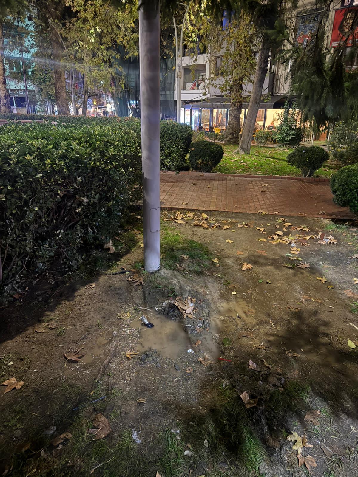 I M G 20251129 W A0001