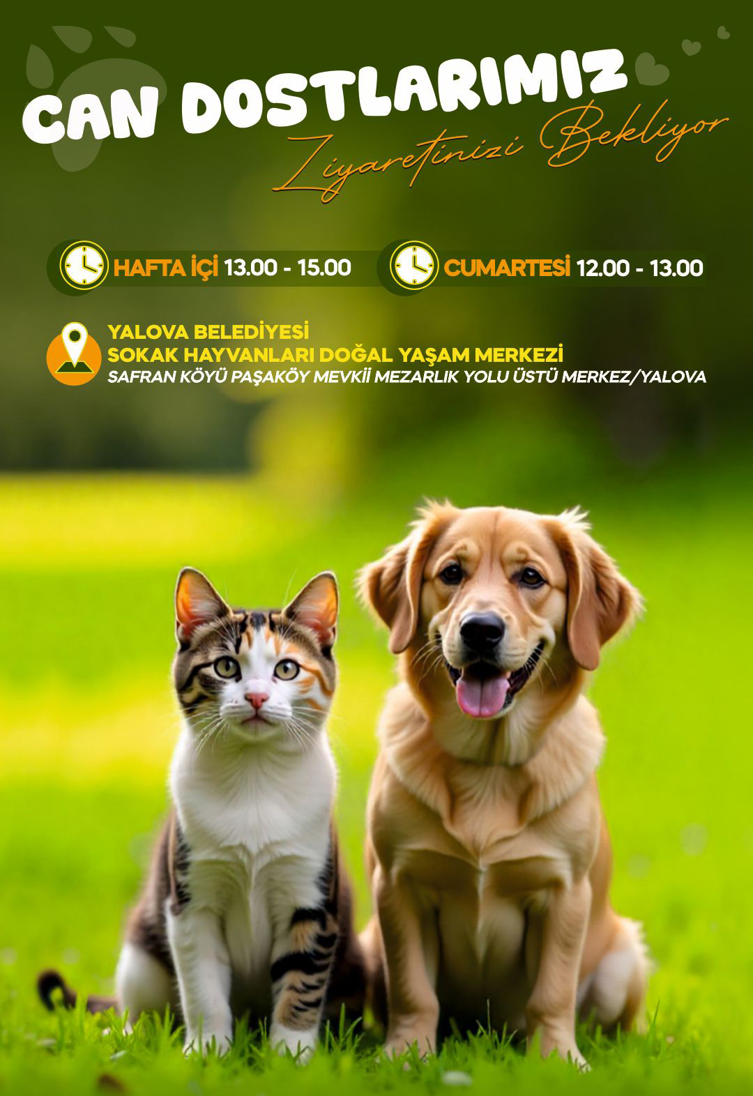 Sokak Hayvanlari Doğal Yaşam Merkezi̇ Zi̇yarete Açiliyor