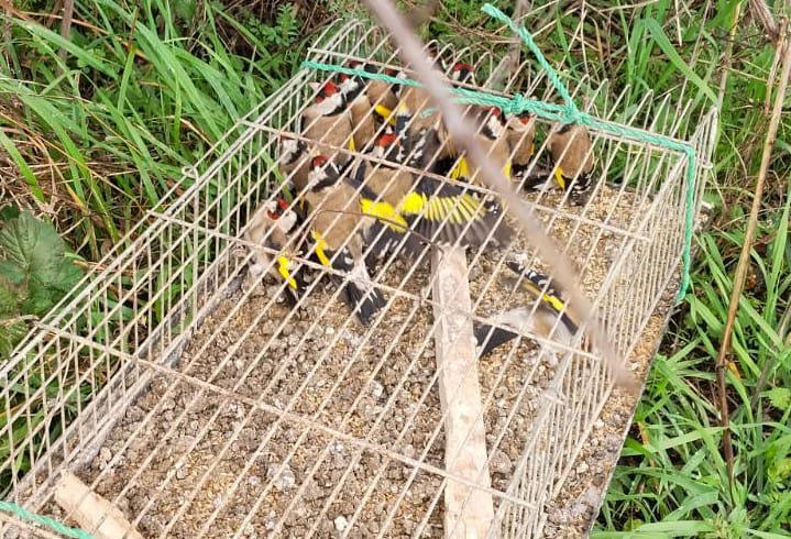 35100B13 9F40 4607 B381 04Fc544Be370