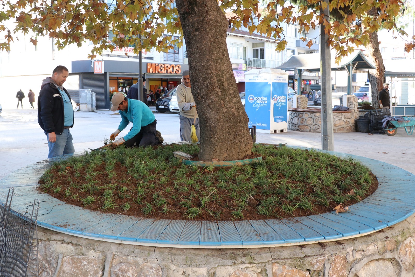 3712B154 0E8D 46E3 A247 E7F5E41Ea50F