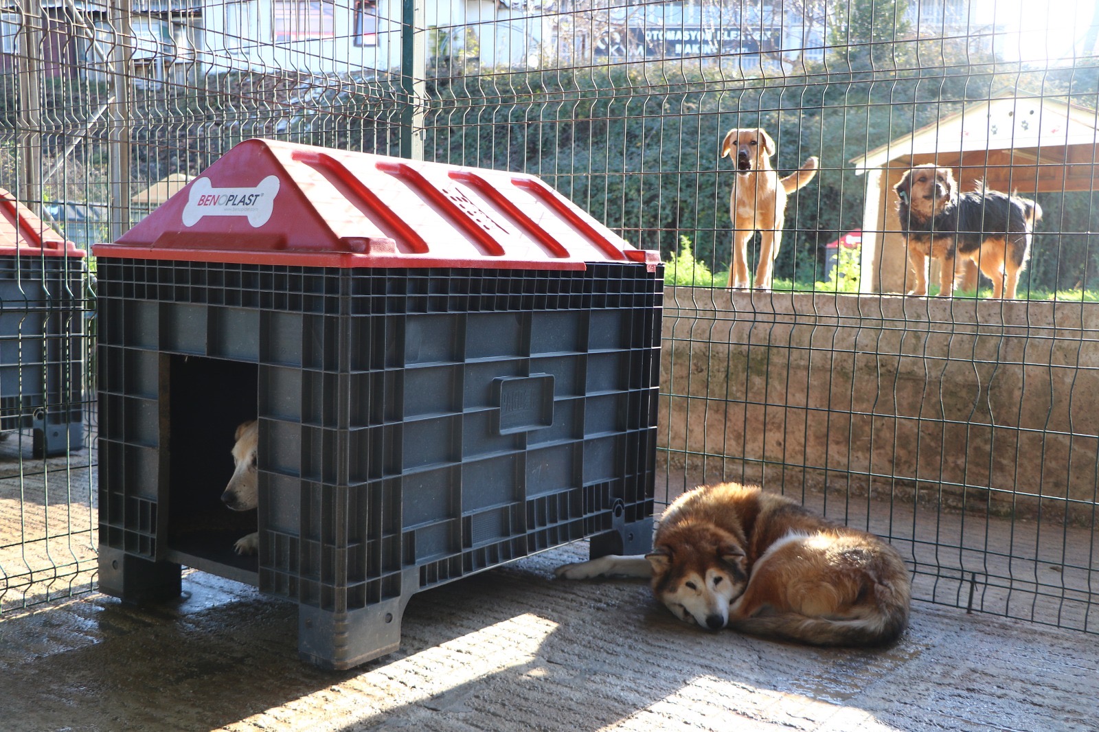 4Aa598Dc Fc27 471B 8F69 834024C7Aaf2