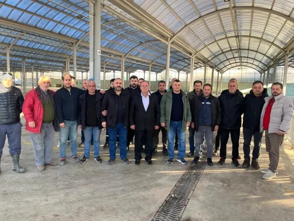 969307Bf 8E37 4655 9C32 555Fff6A1E1E