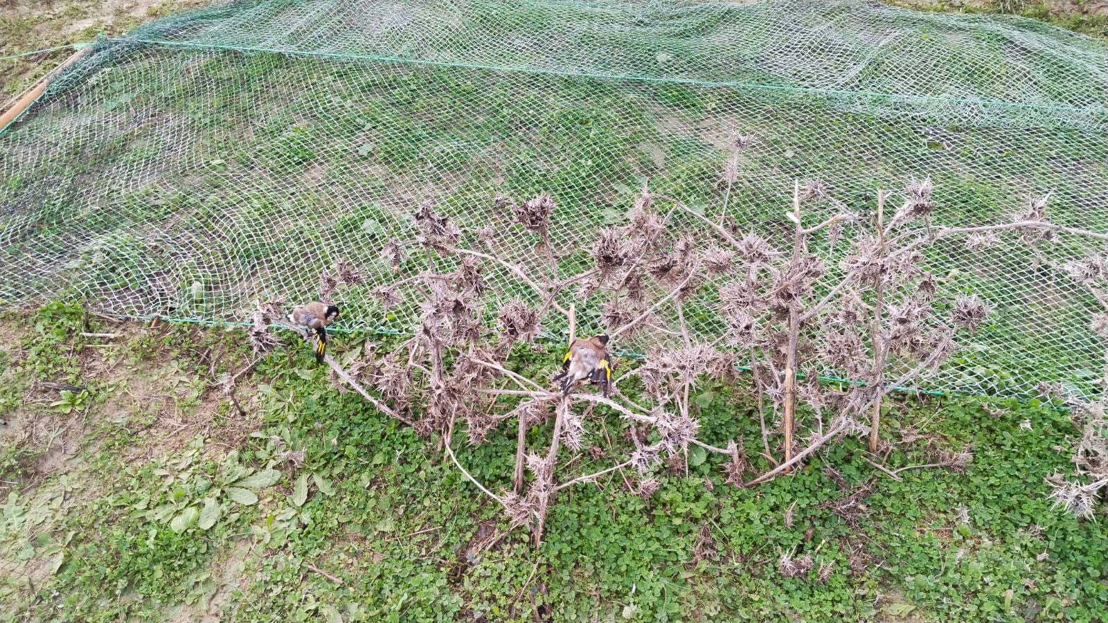 9A1F56F1 A3B0 43E0 B90E 12084C95Bf57