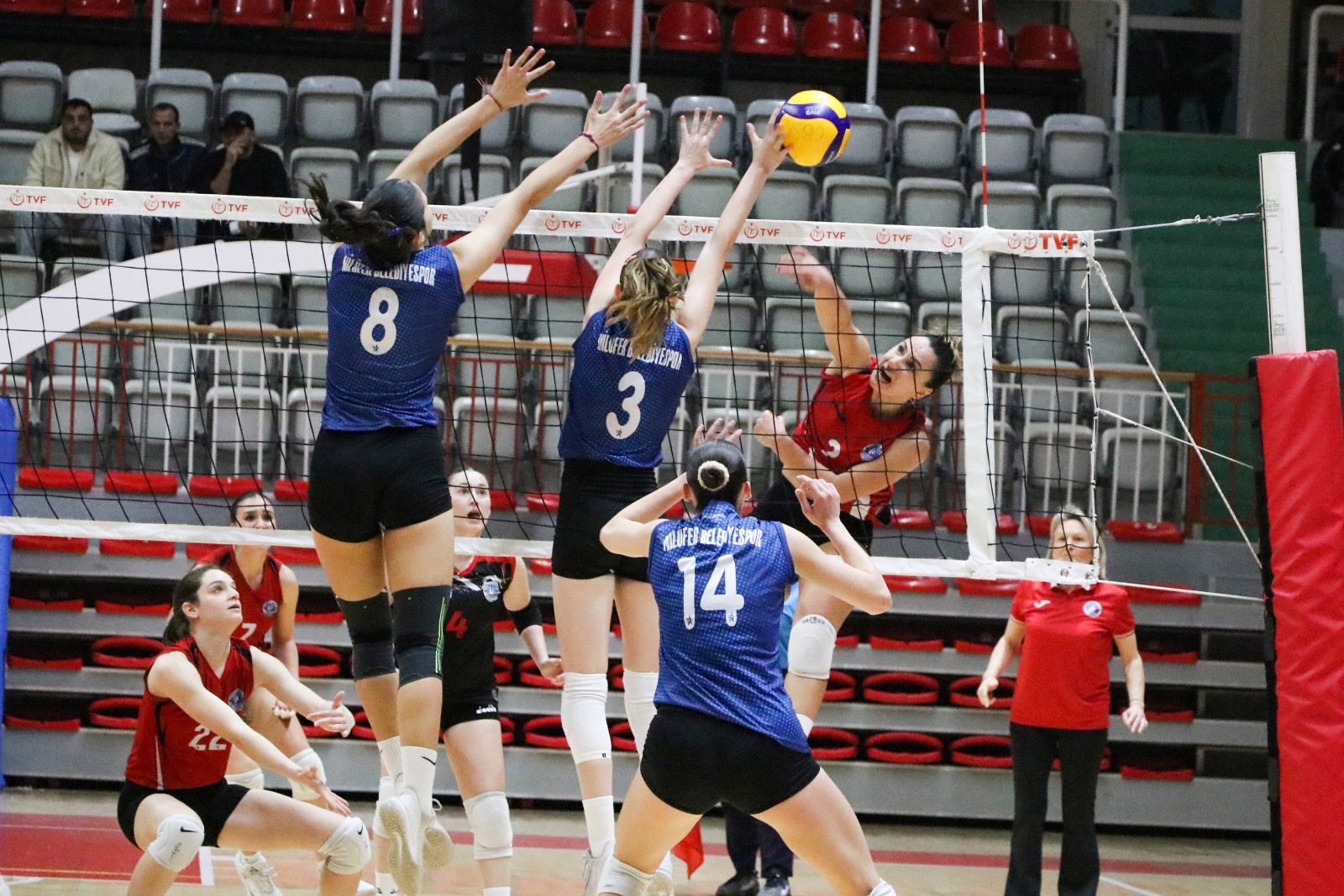 D067Aefa 22E0 4D8F Aa5F 4A7415F0Ac7A