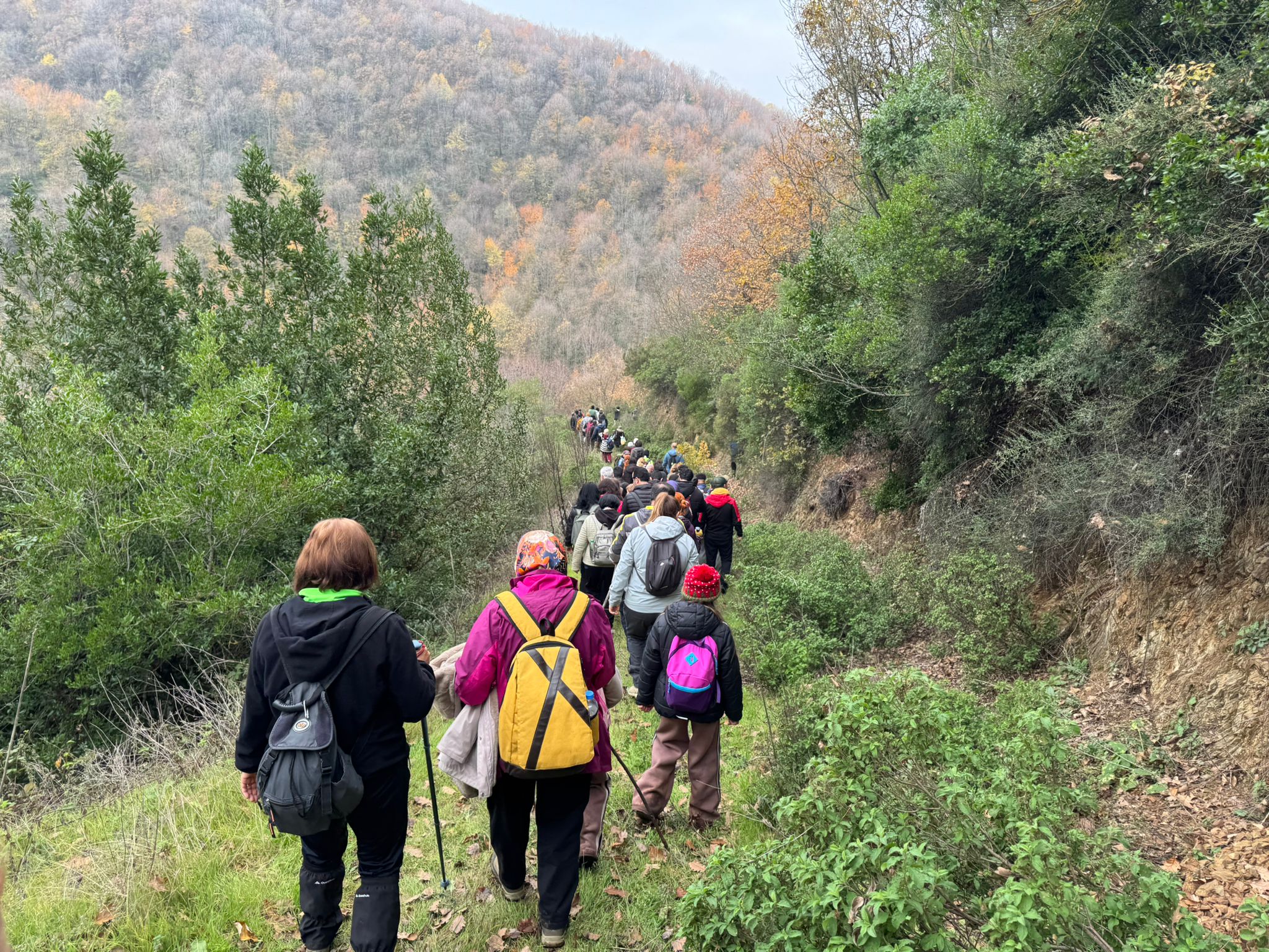 Doğa Yürüyüşü (2)-4