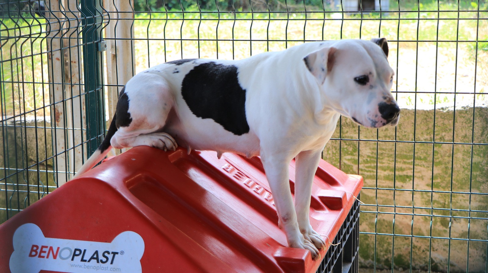 E01312F5 4D2B 4Ec6 Bce3 D9840A939993