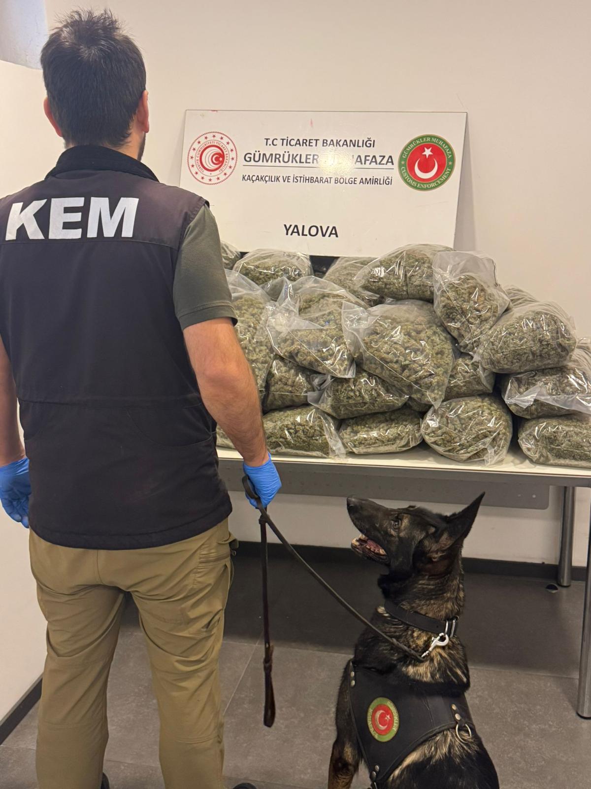 I M G 20251209 W A0020