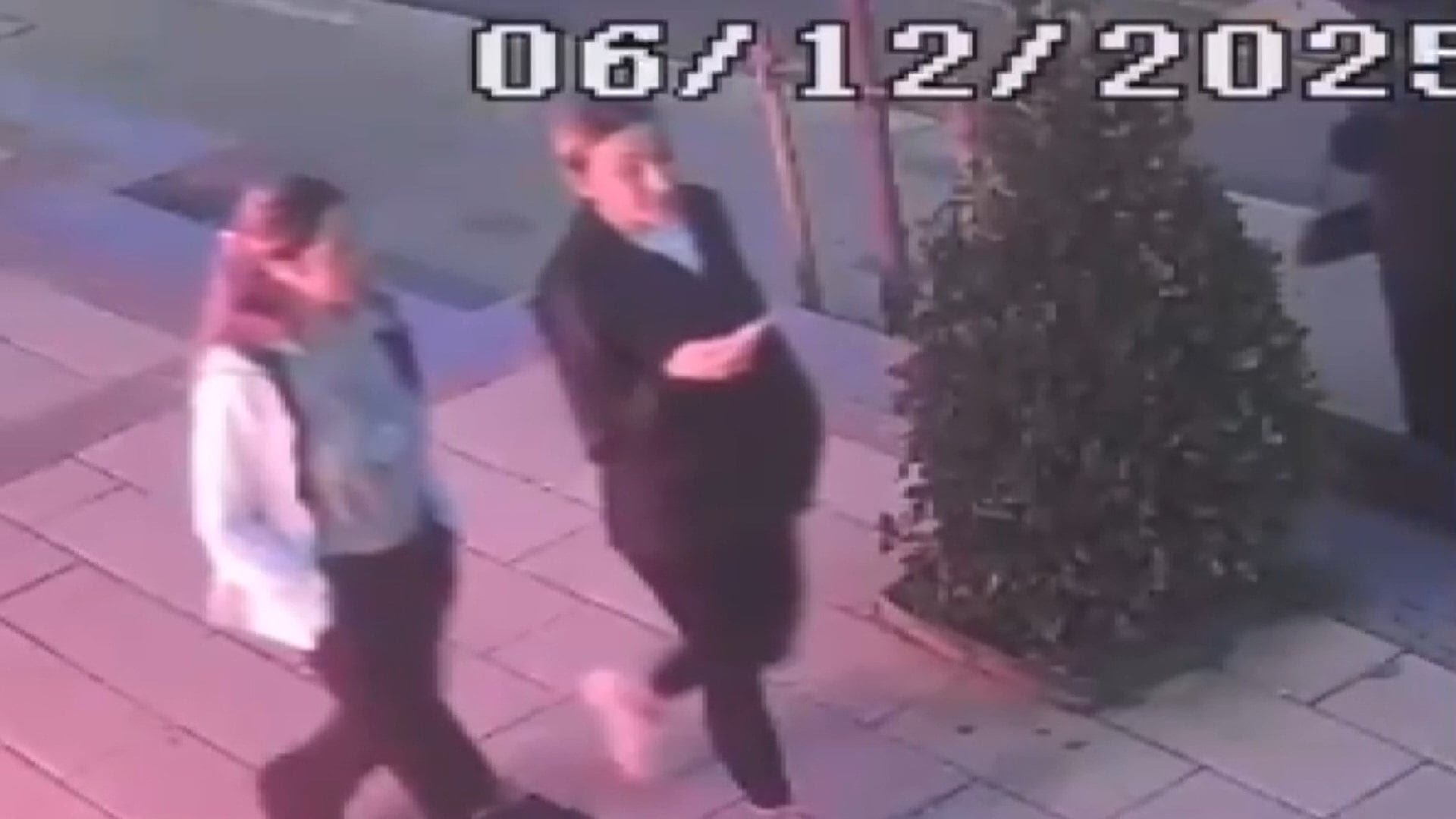 Istanbulgullununkizininbavullarlaa1056035313394Jpg Tbx Z H531Lk Kkyx Hi M S1Ix A