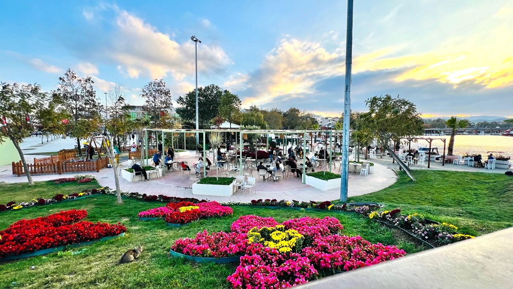 Sosyal Belediyecilik (1)