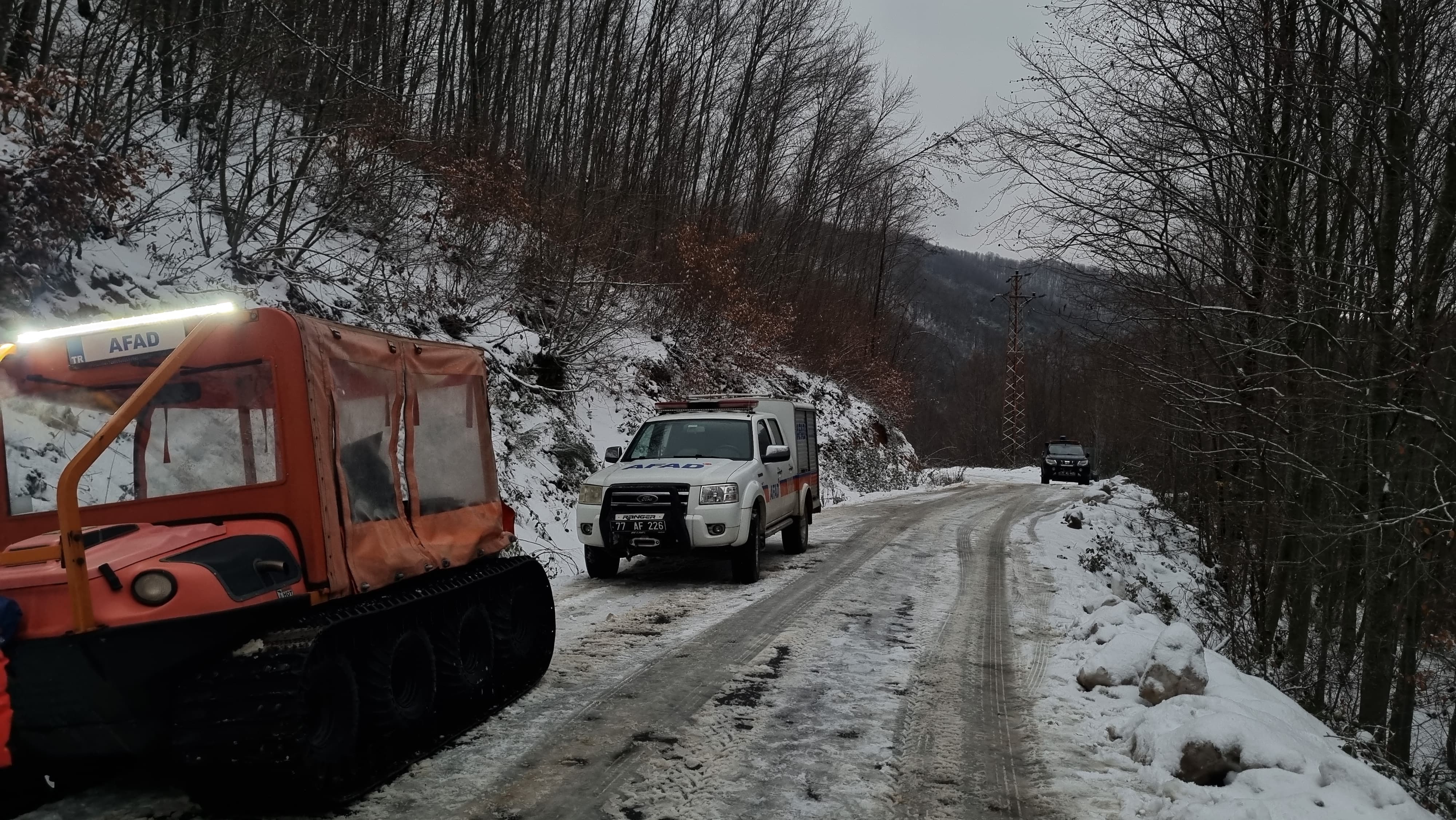 2034Cf73 Ce4D 4003 8F41 Ea13F57Bad3F