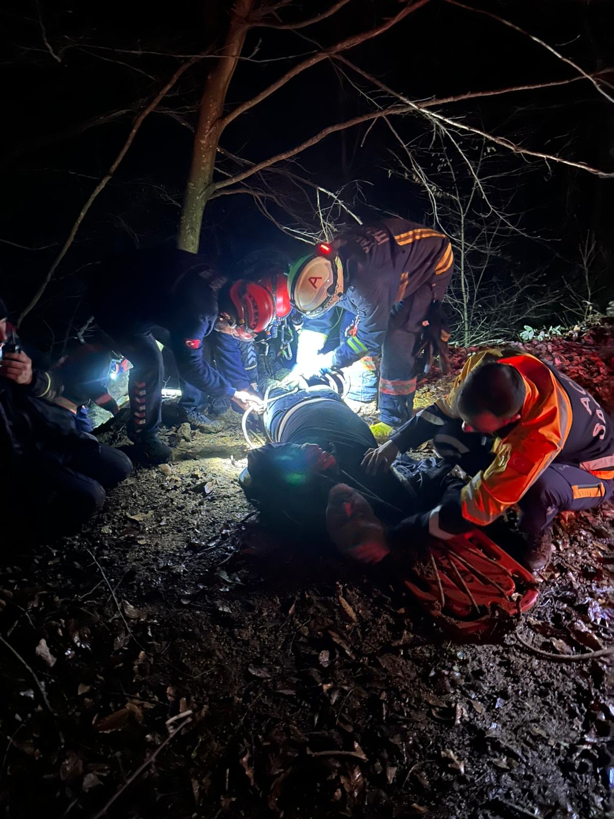 312800D5 Dff3 4E29 B98B Dea6641D9D95