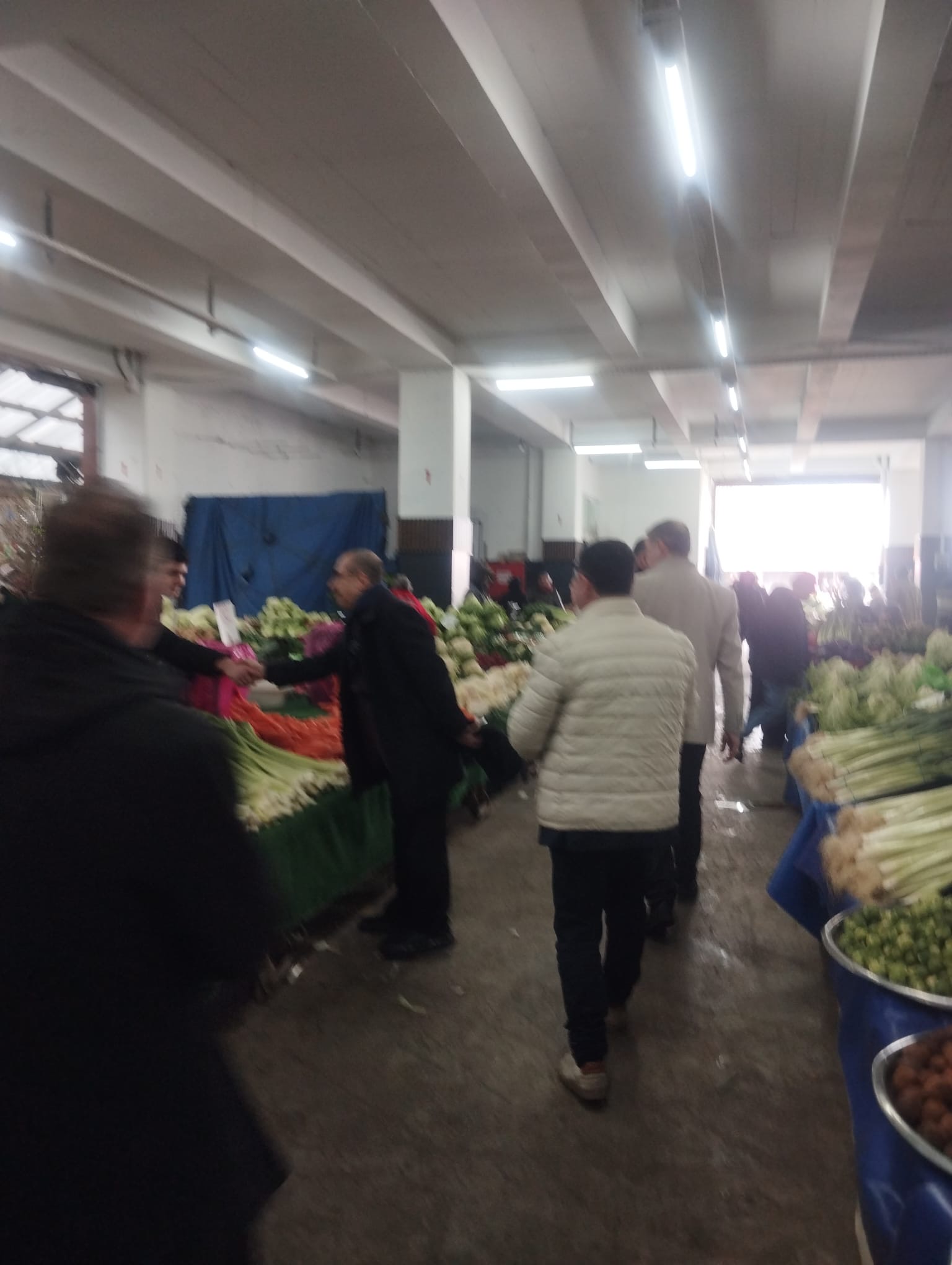 43F244Db E89B 4545 8855 7747B864Eda7