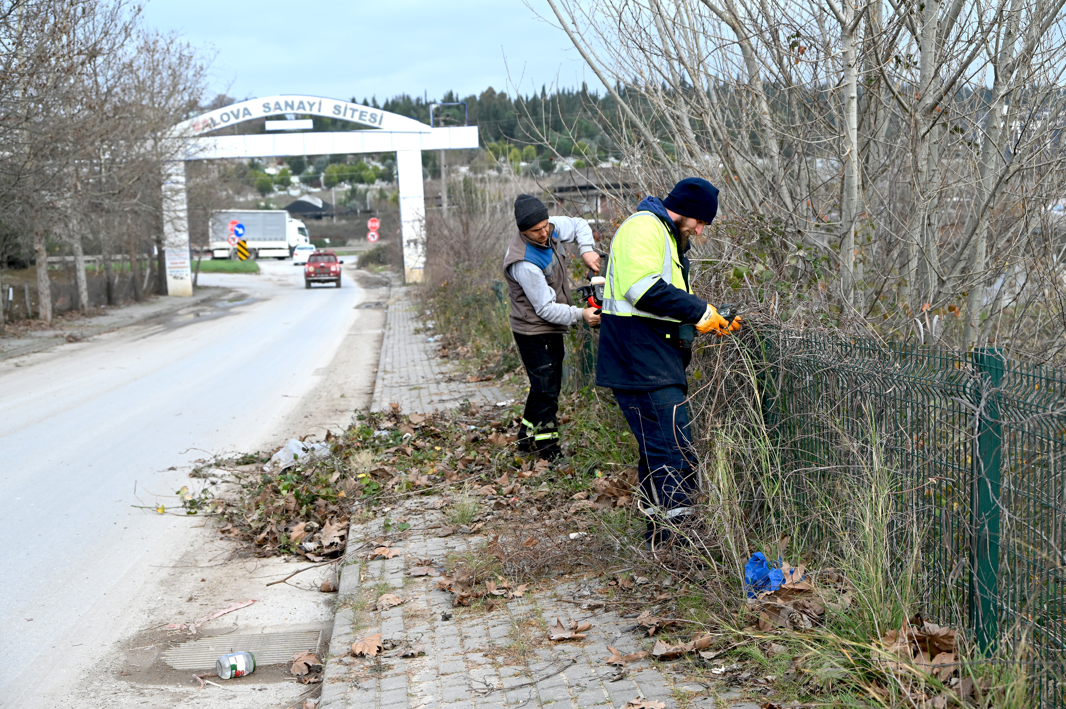 Budama Ve Temizlik Çalışmaları (3)