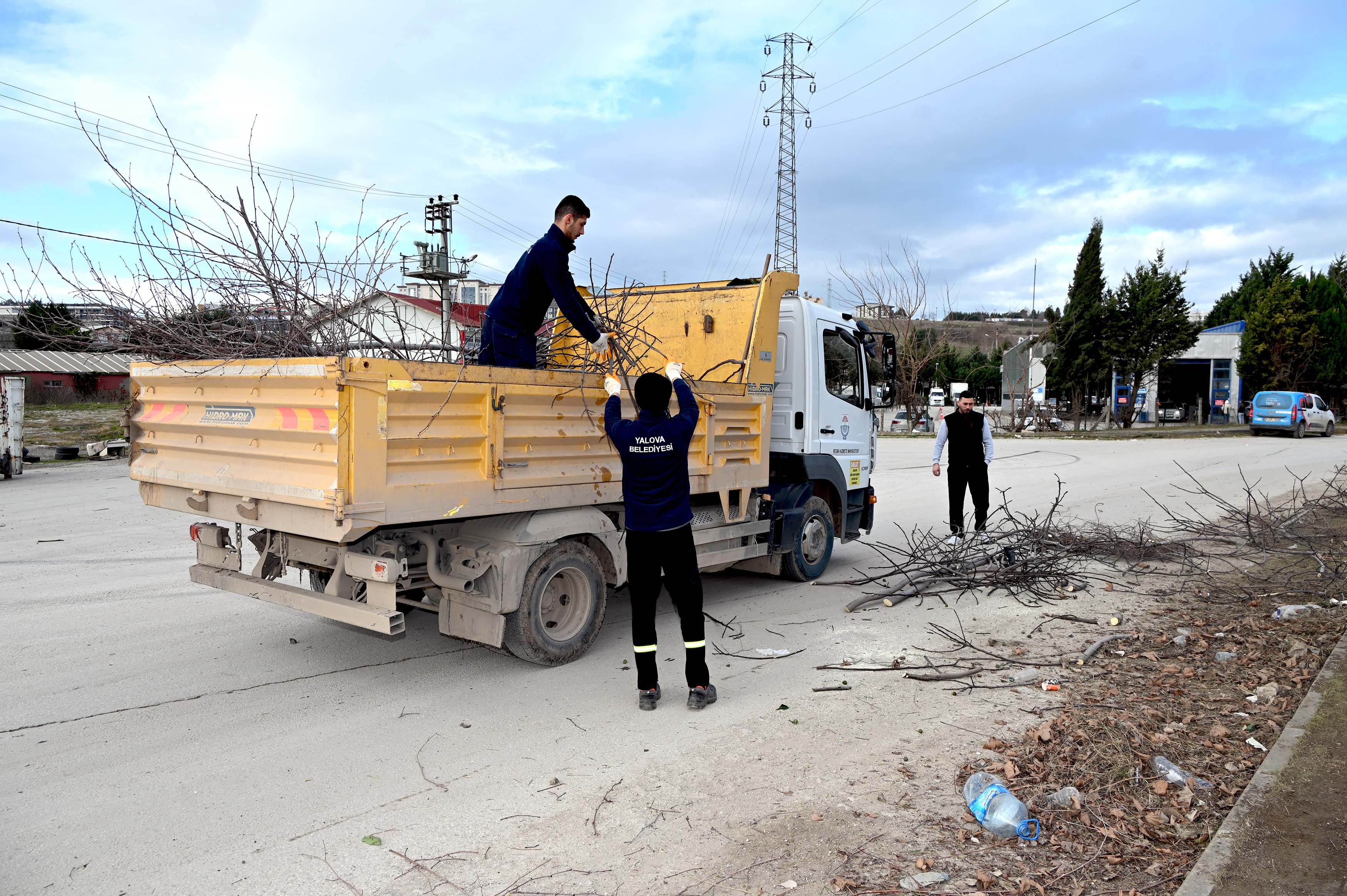 Budama Ve Temizlik Çalışmaları (4)