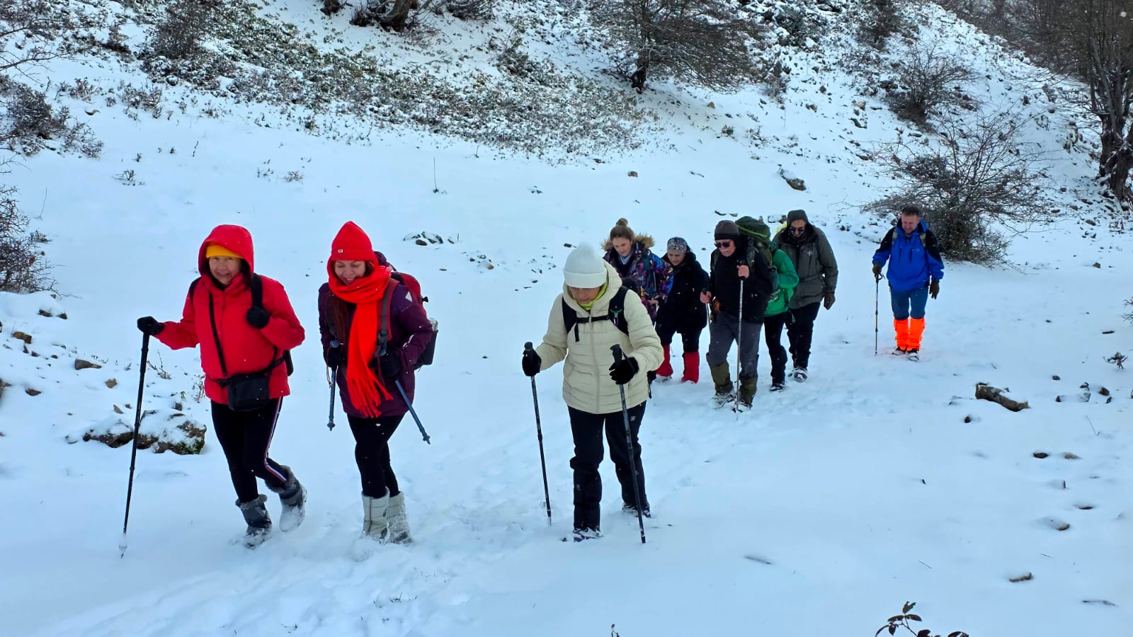 F5155C81 04F4 4870 B4D4 6E3De803F2E7