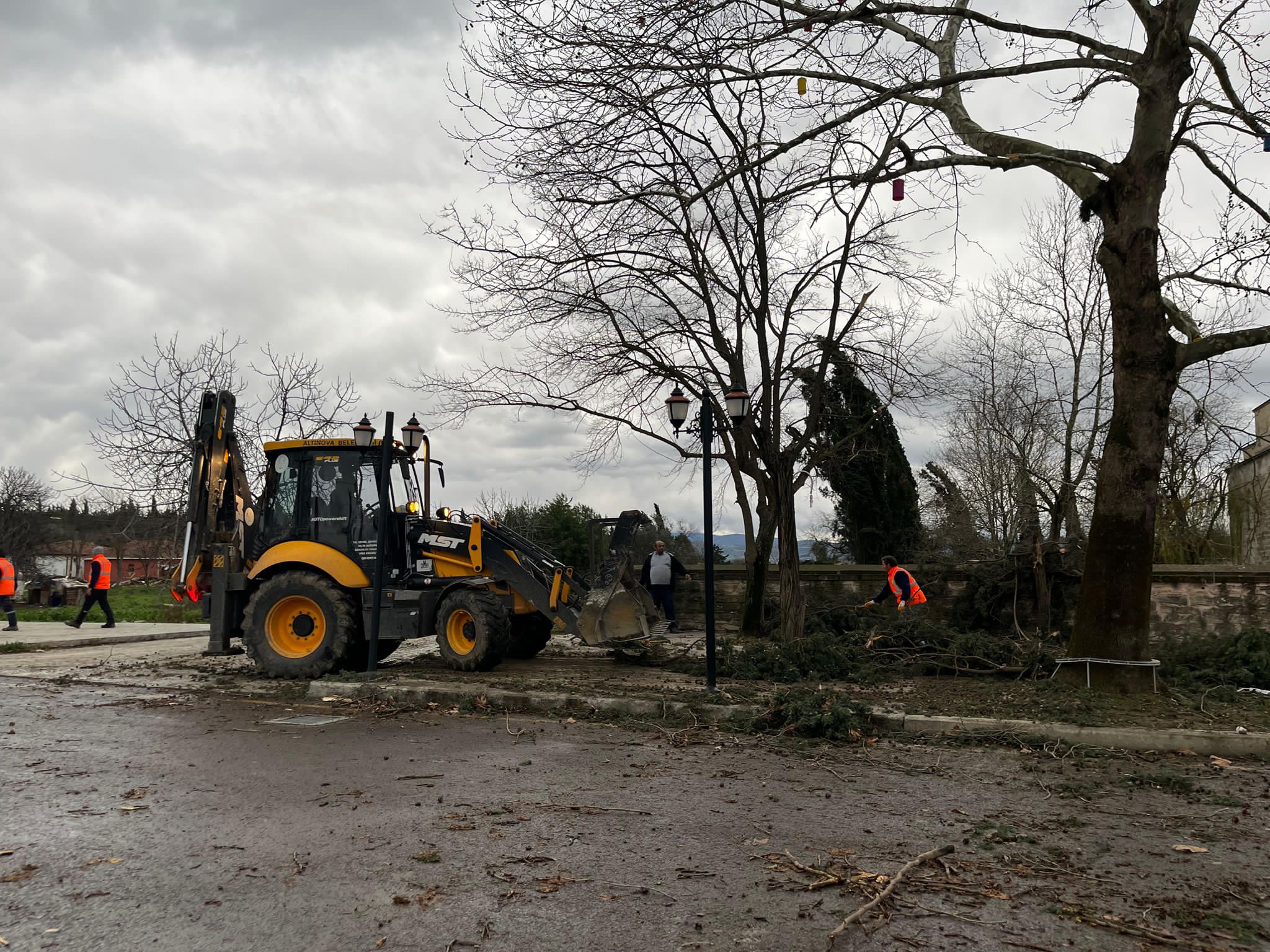 Altınova'da fıttına
