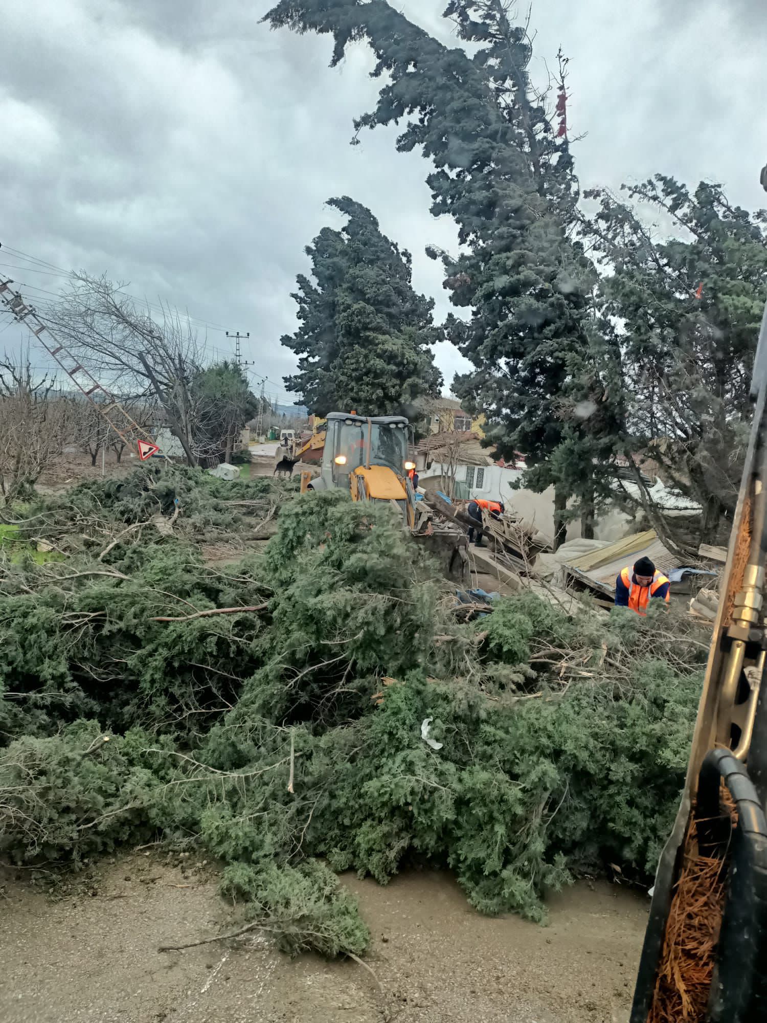 I M G 20260108 W A0016