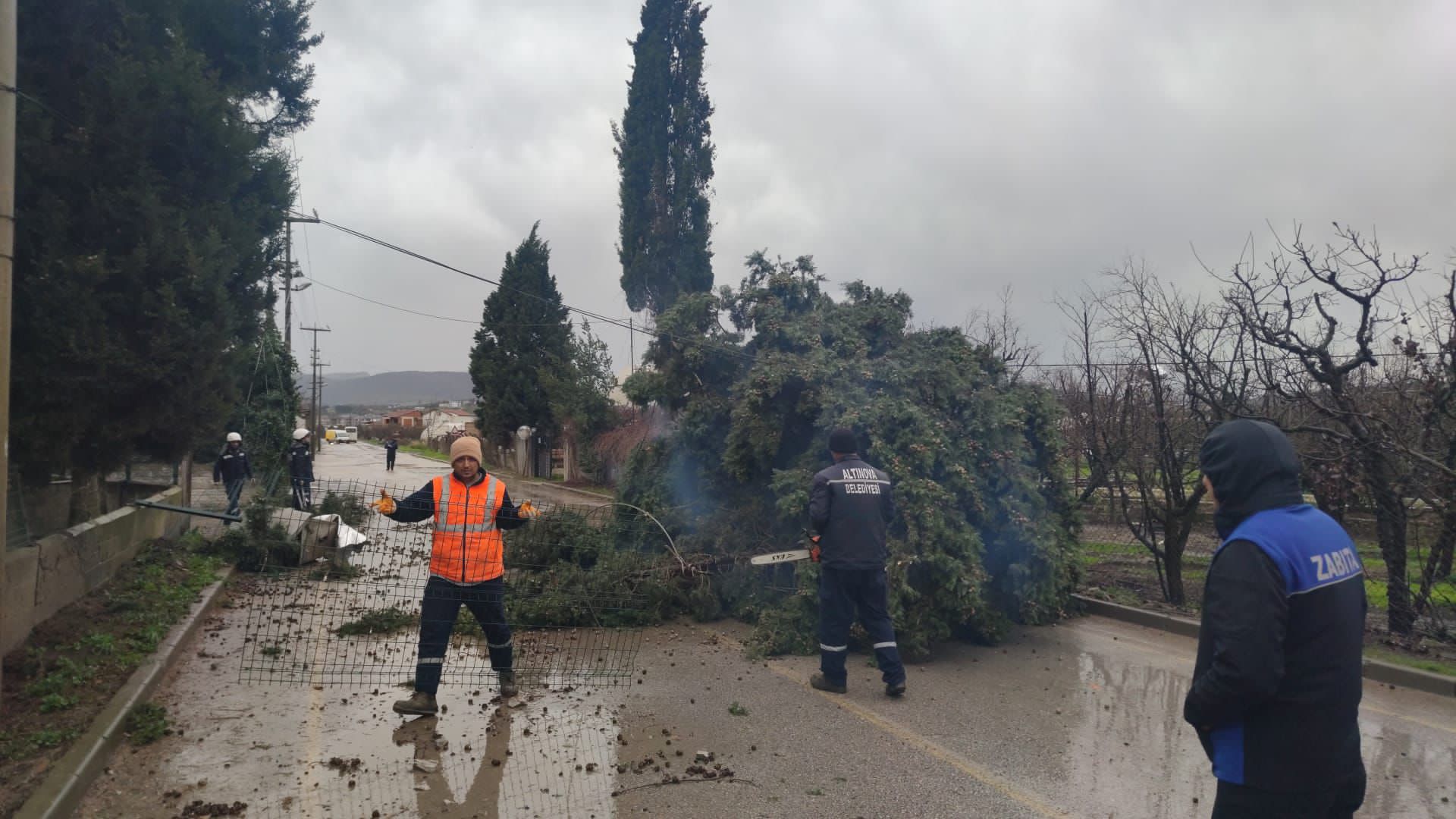 I M G 20260108 W A0017