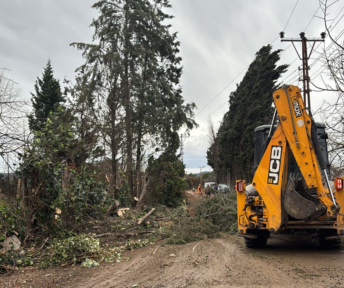 I M G 20260108 W A0023