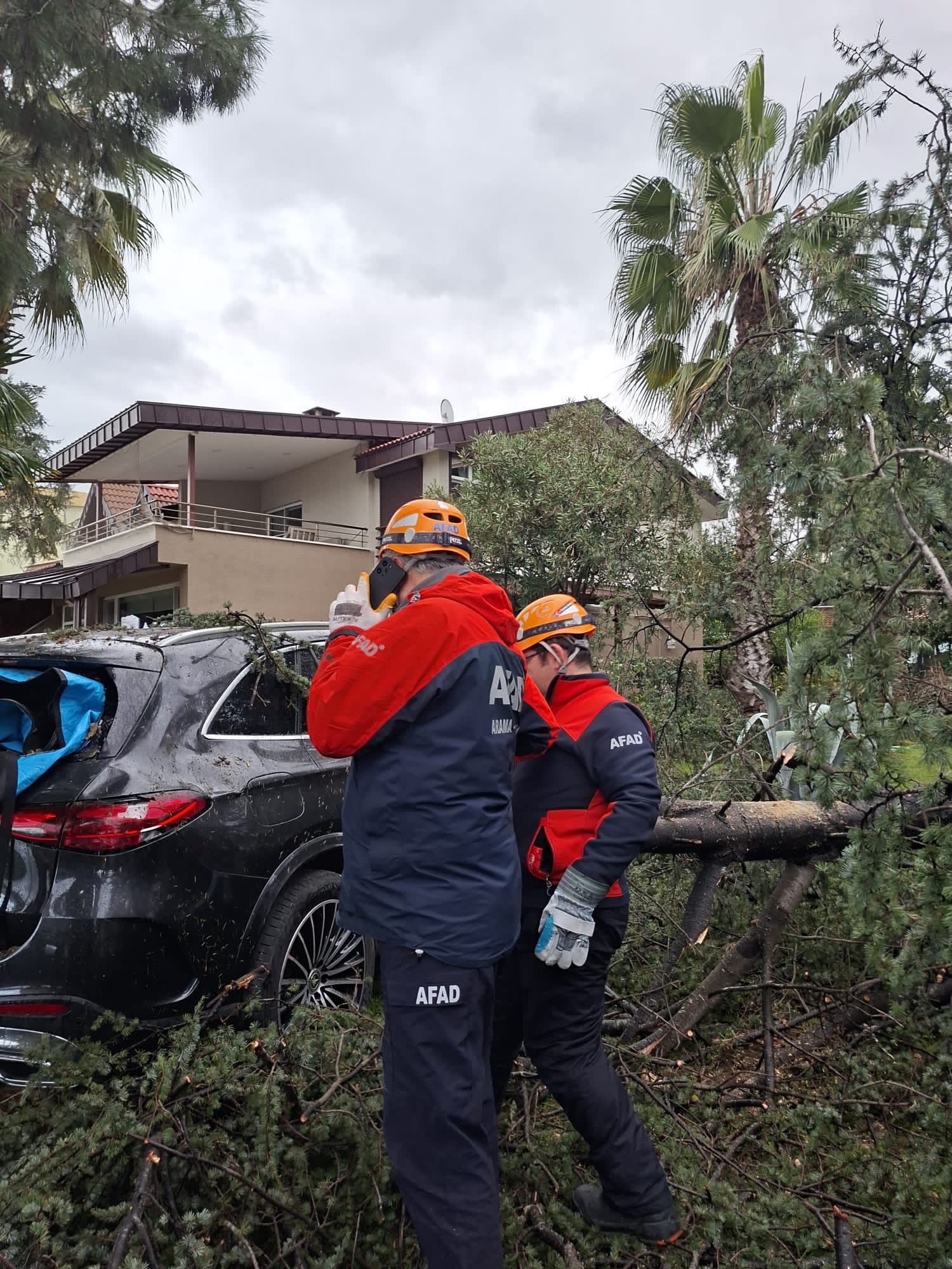 I M G 20260108 W A0030