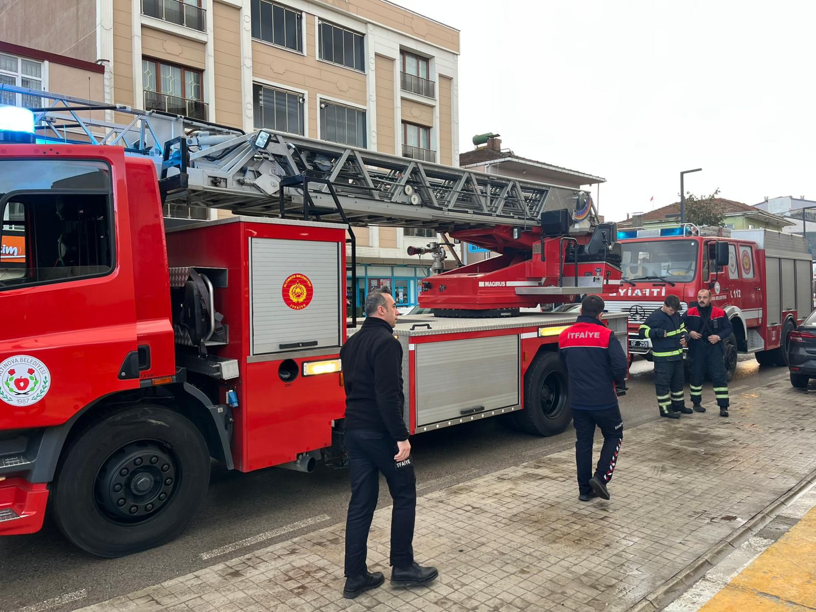 I M G 20260113 W A0010-1