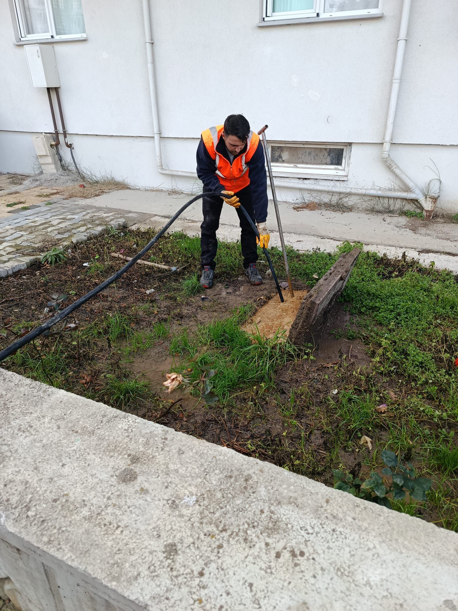 I M G 20260114 W A0017