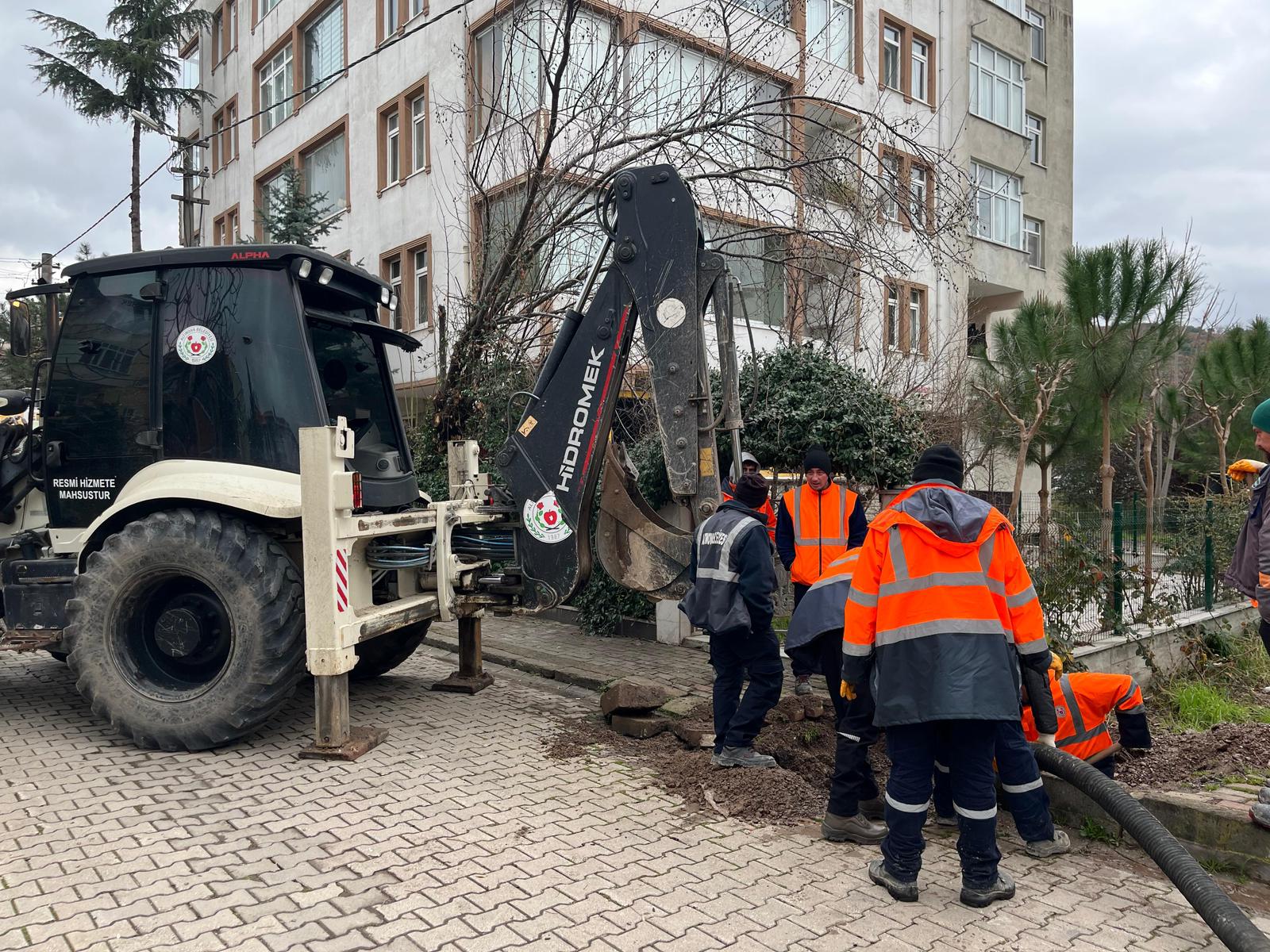 I M G 20260114 W A0019