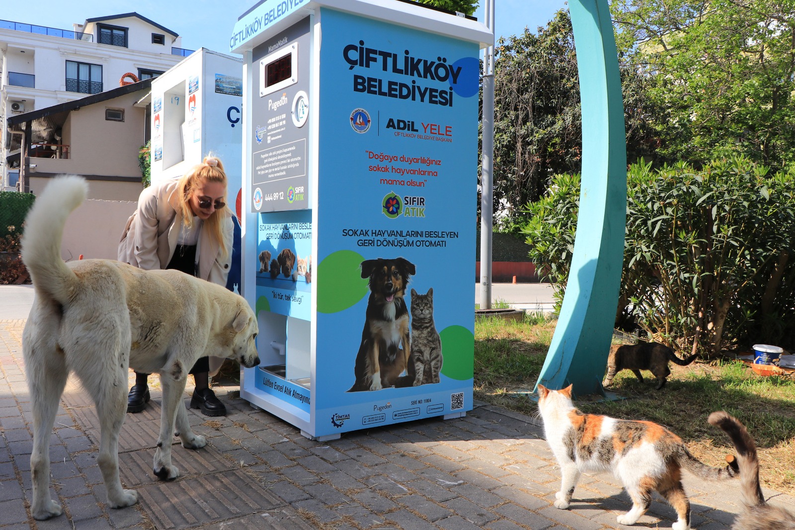 I M G 20260114 W A0026