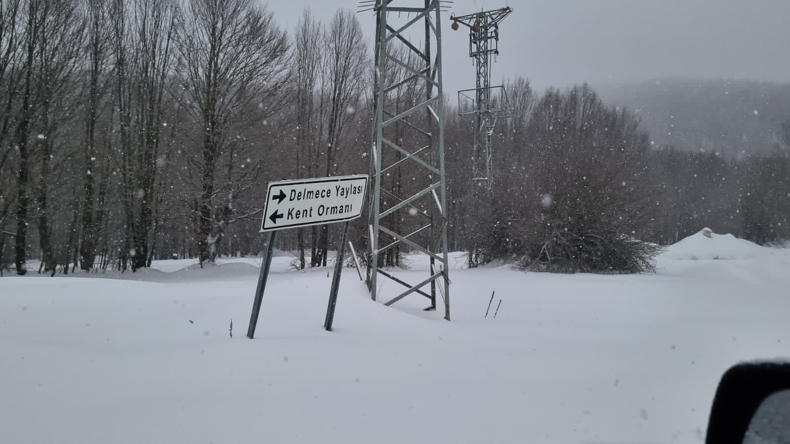 I M G 20260119 W A0024