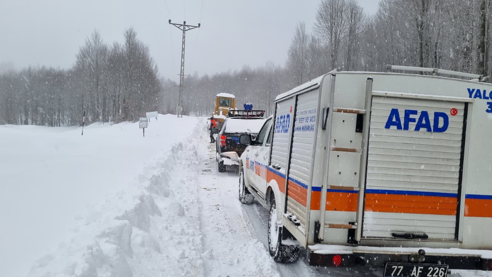 I M G 20260119 W A0027