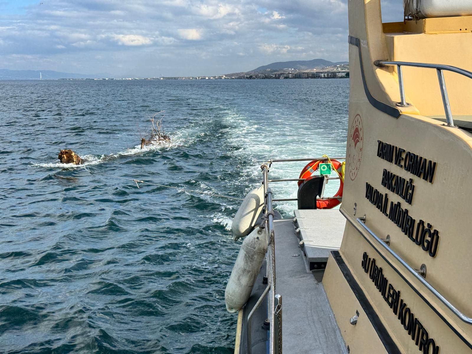 I M G 20260129 W A0066