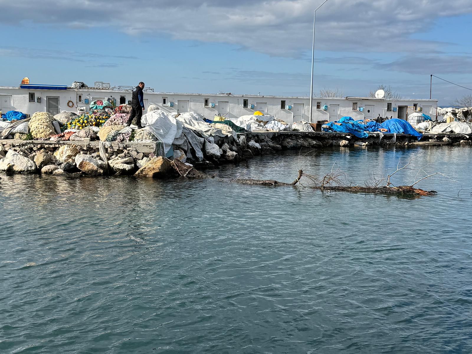 I M G 20260129 W A0067