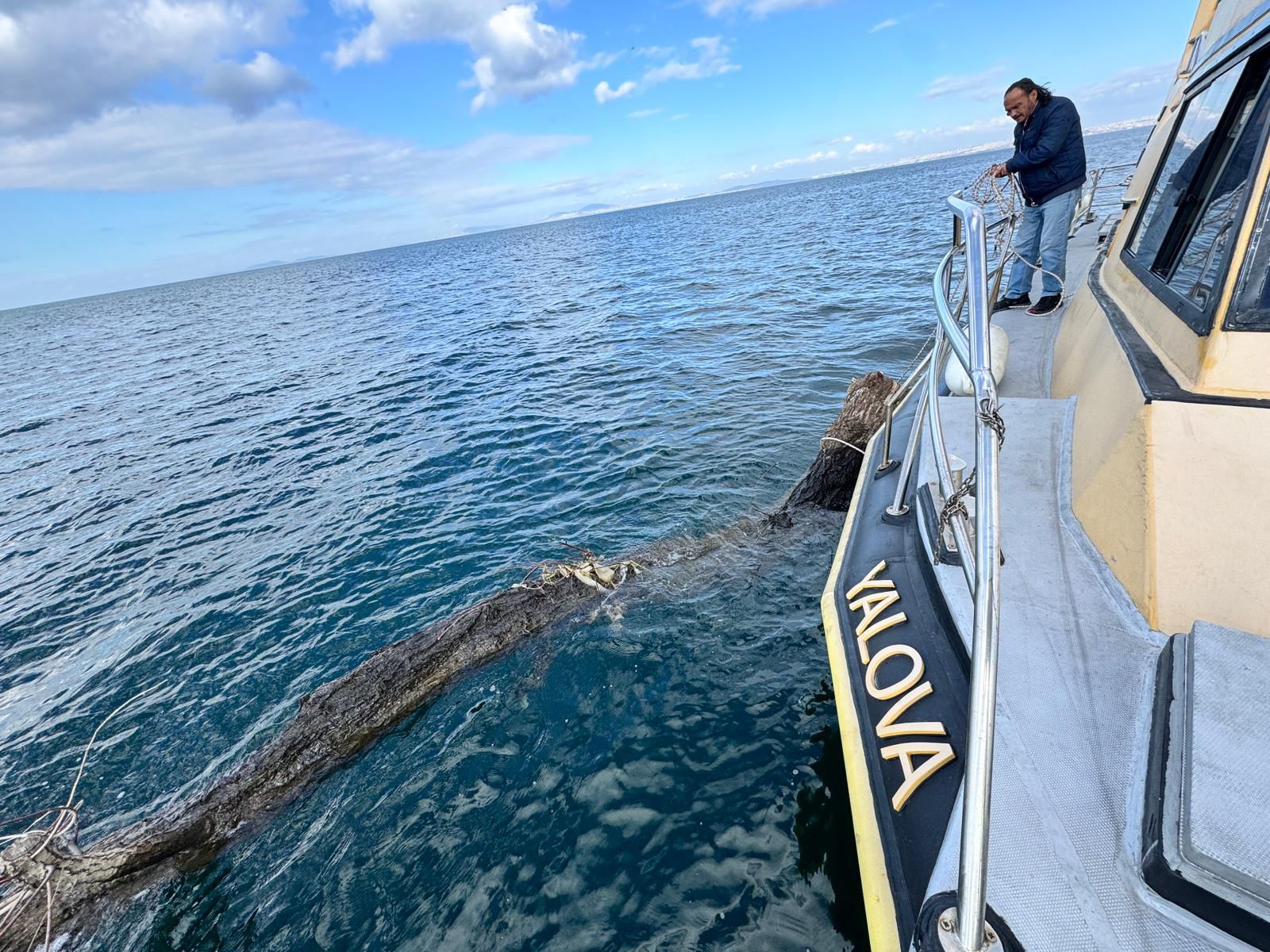 I M G 20260129 W A0069