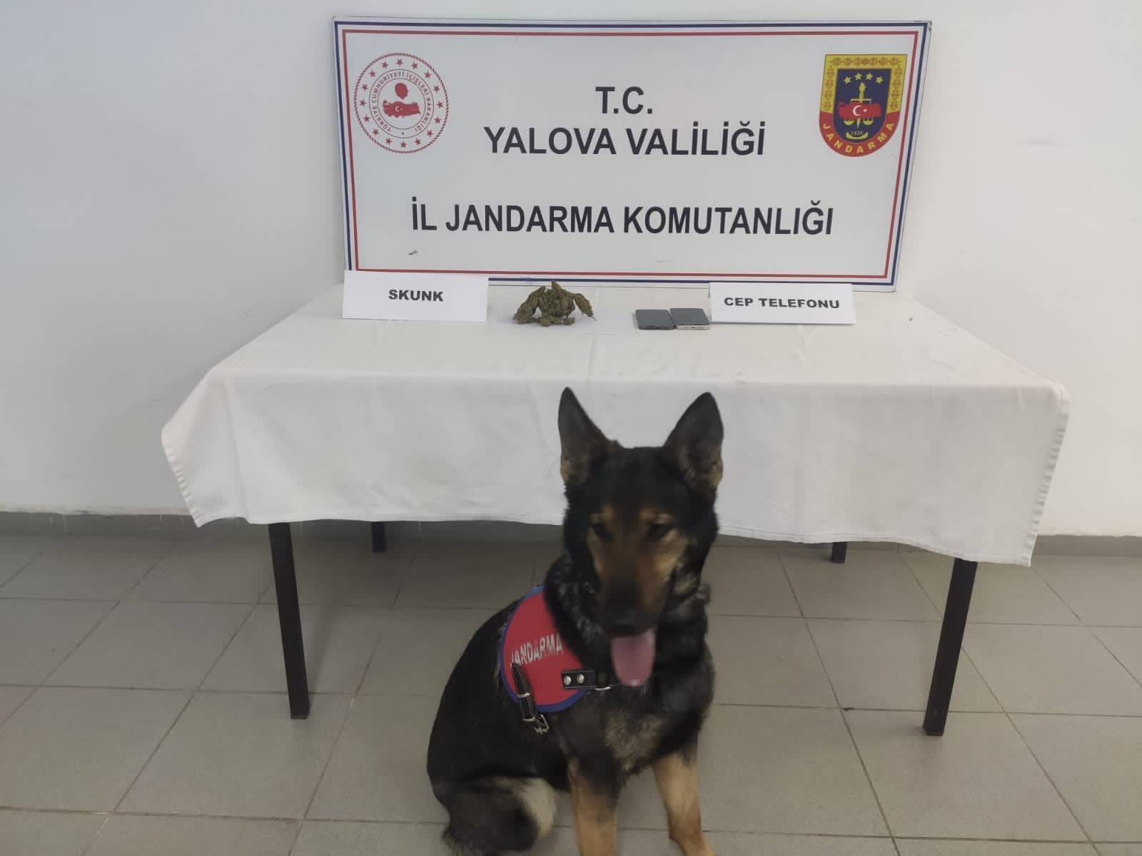 I M G 20260129 W A0073-1