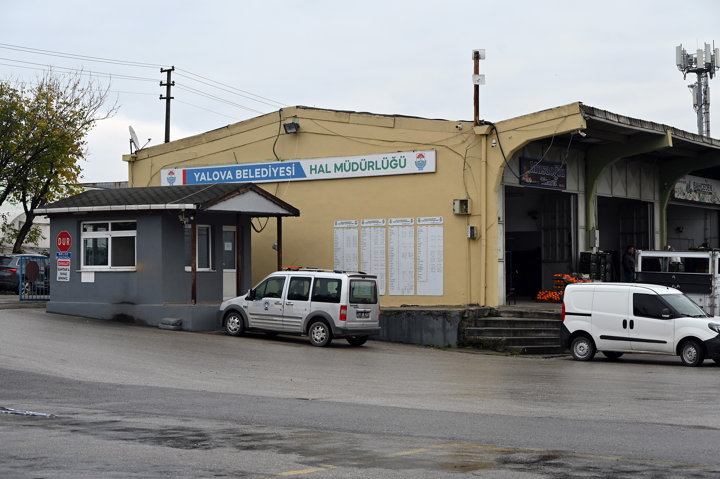 Yalova Beledi̇yesi̇ Yaş Sebze Ve Meyve Hal Müdürlüğü (3)