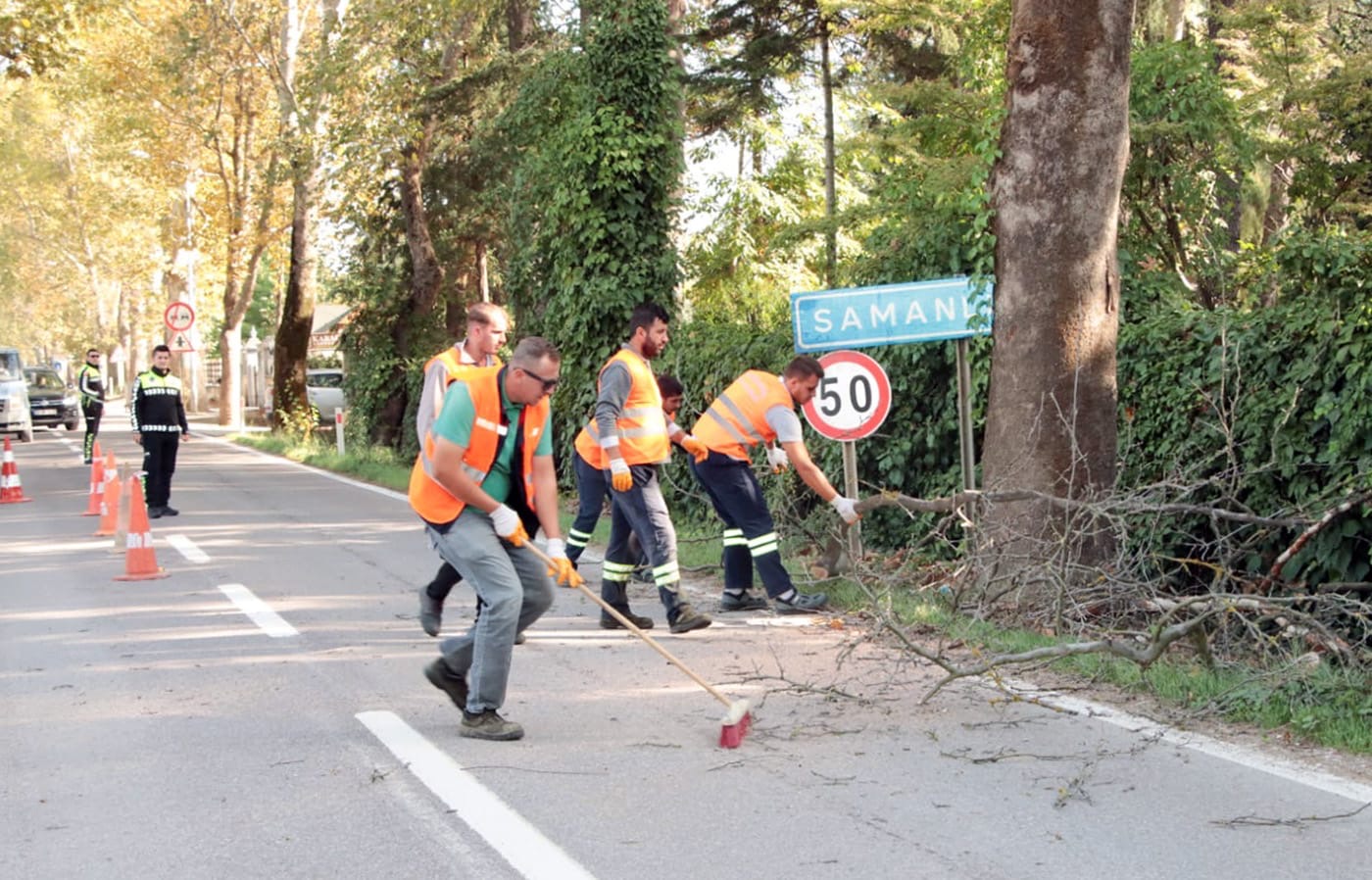 33E6C3C3 2742 4Cdc 9E27 763975693A02