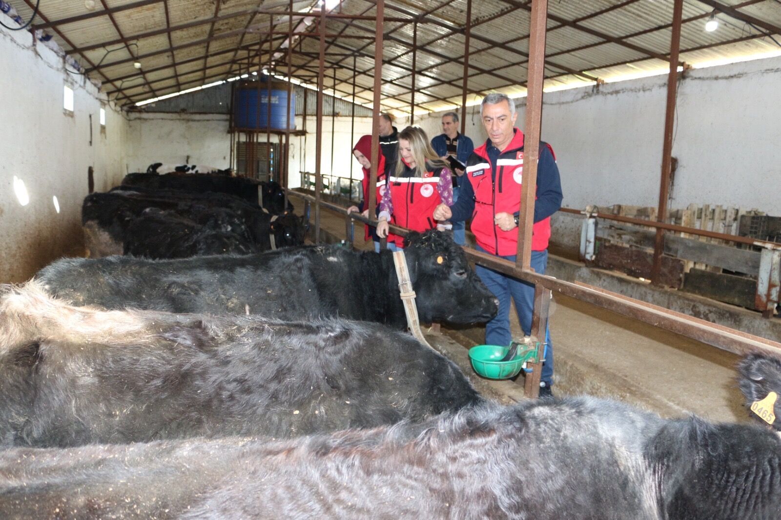 371311A6 Bdc4 4Dd5 Ba21 C9A9C32Bc50D