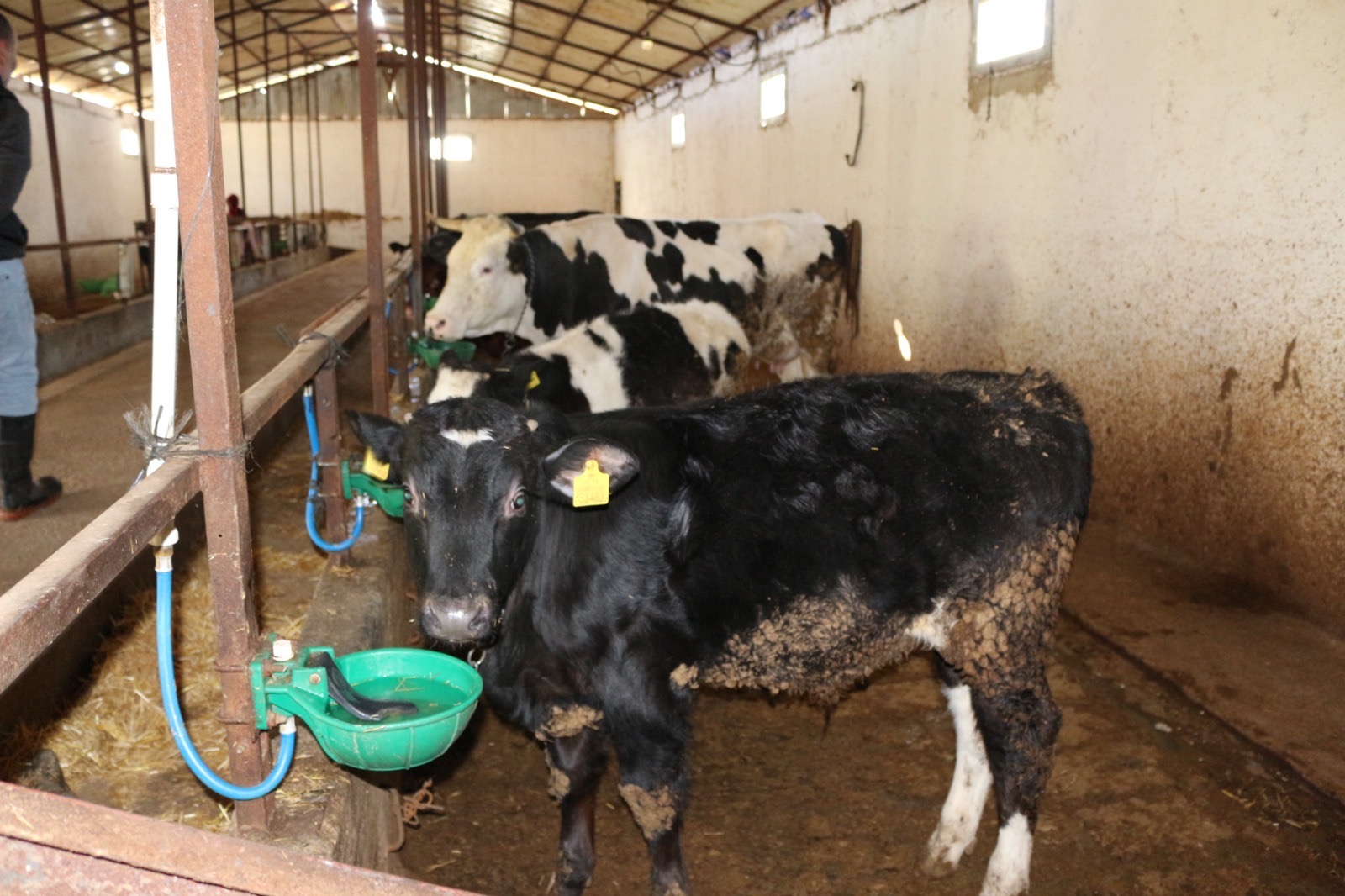 3Df42Fc5 3Ae9 4C9C 9B0C 9Cddf6490468