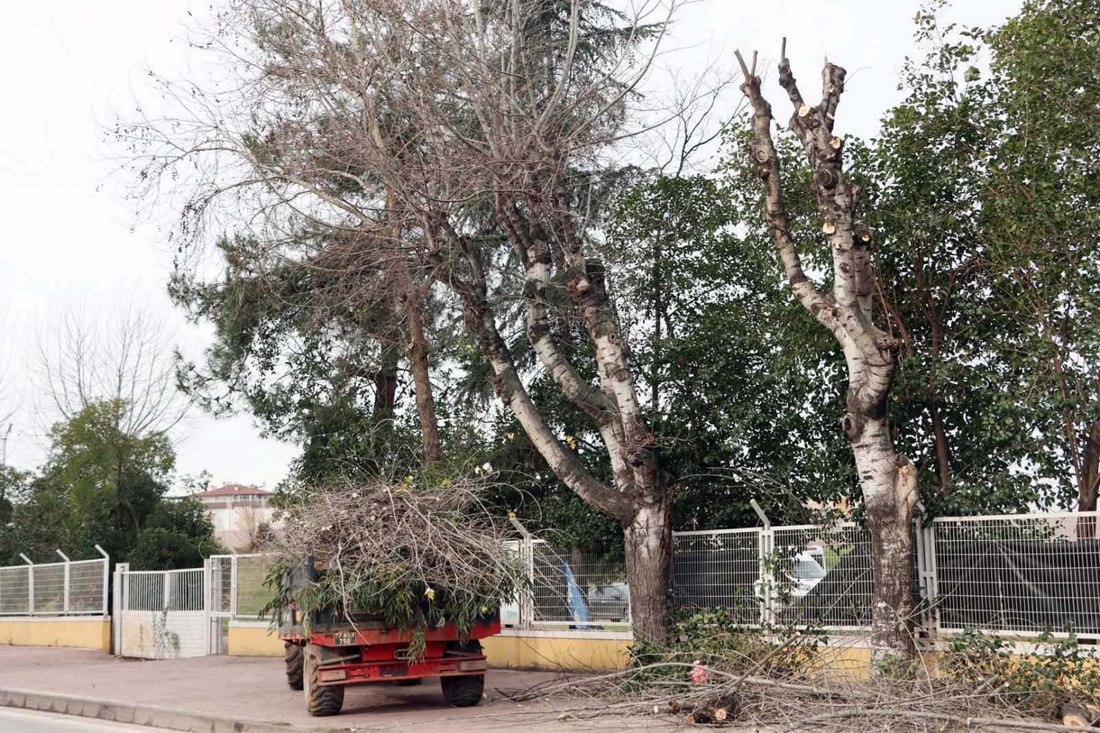 561E161D 7178 48E1 A660 5E399Dbc7Fd7