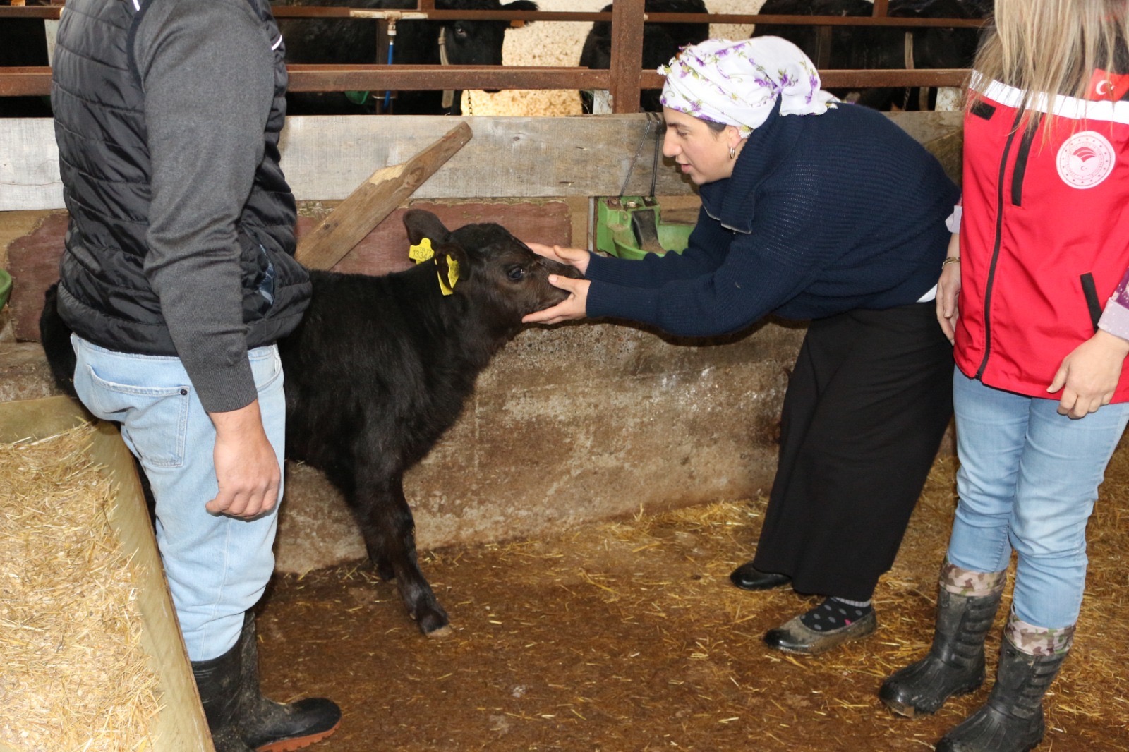 A41C7Eee F75A 4D76 8Fb6 189Eb31Da6A6