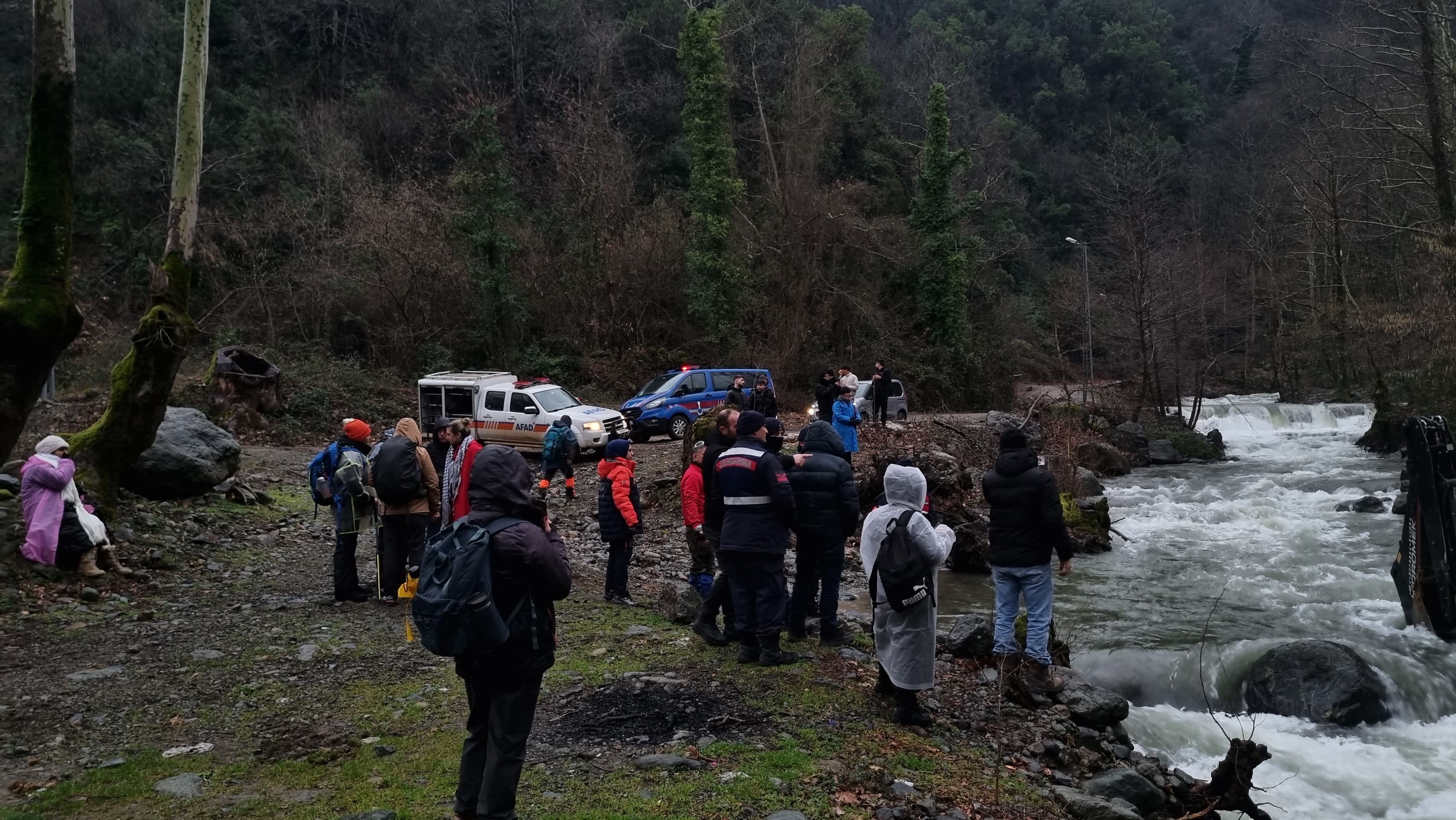 Cac14990 57D8 4E5E 8040 8701F70Ff160