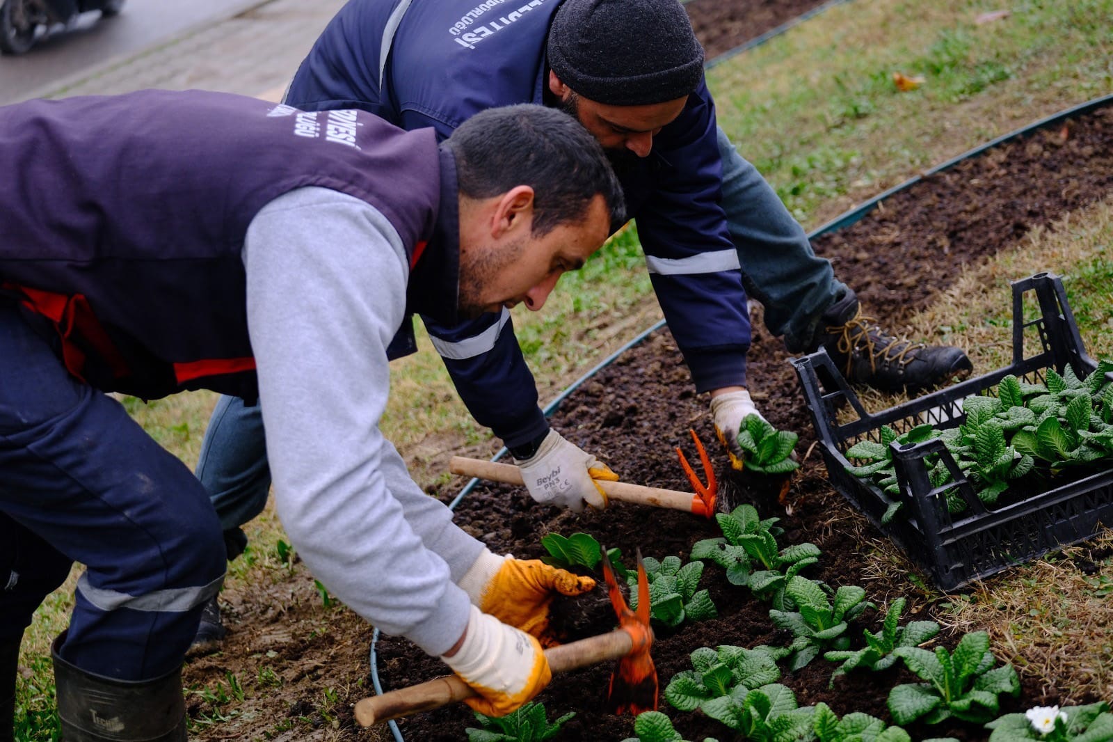 Caee9881 F7Ec 4B57 A8C5 780B789E0C70