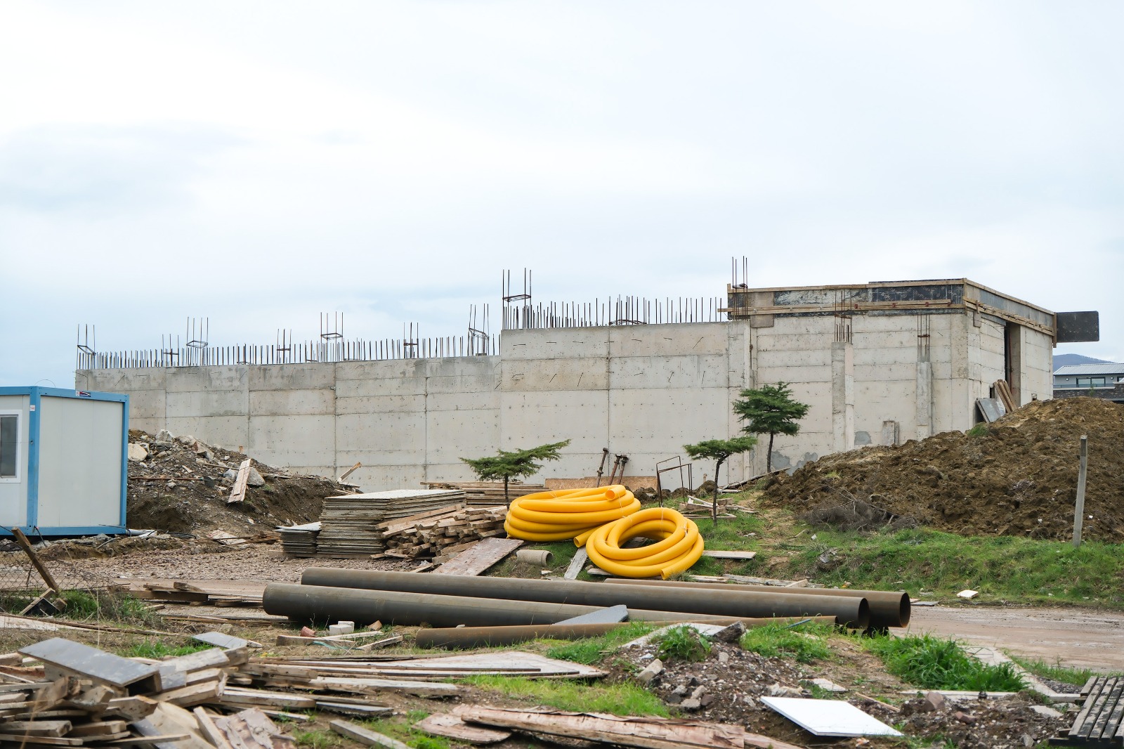 I M G 20260205 W A0112