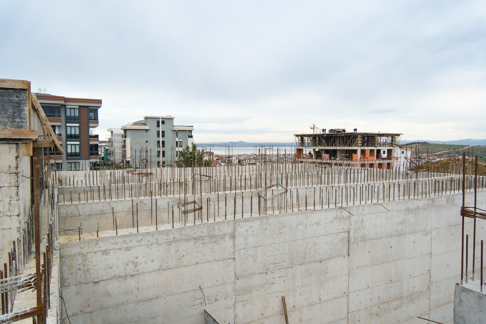 I M G 20260205 W A0114