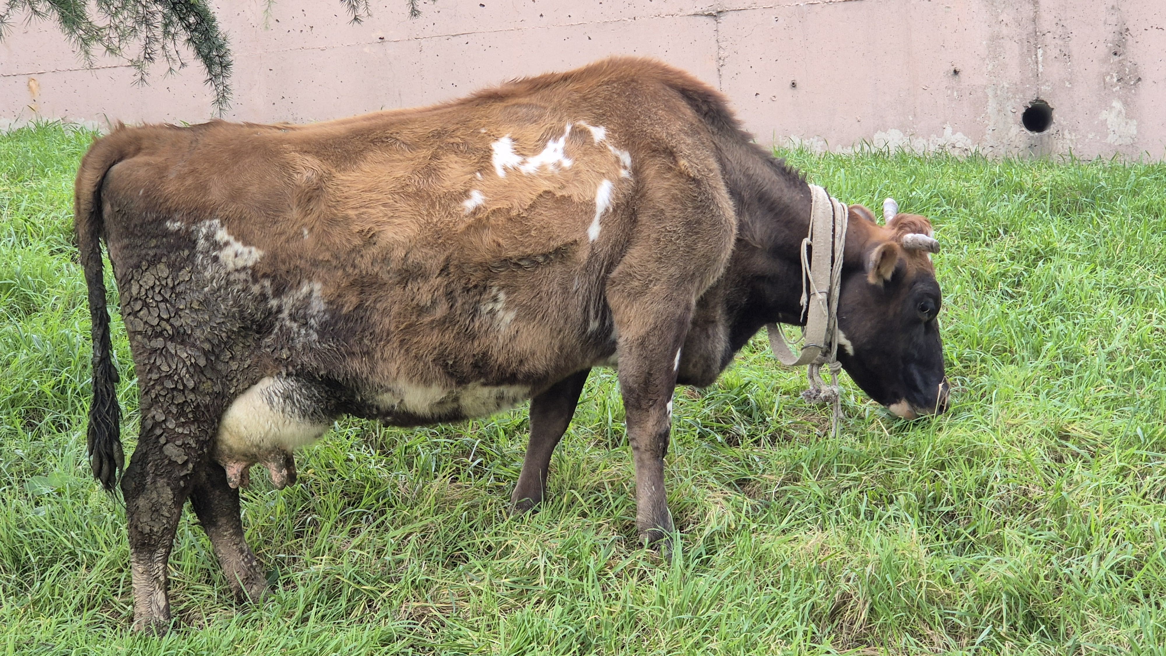 I M G 20260205 W A0136