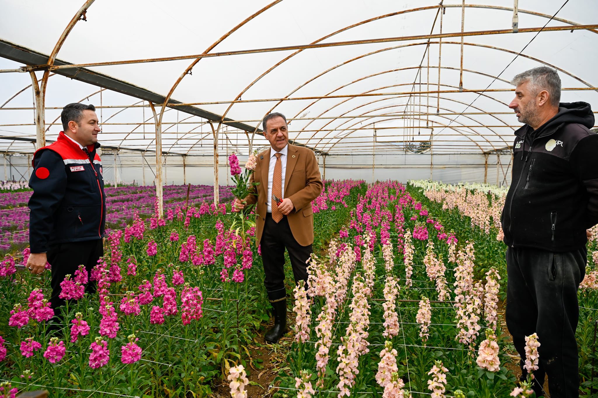 I M G 20260211 W A0005