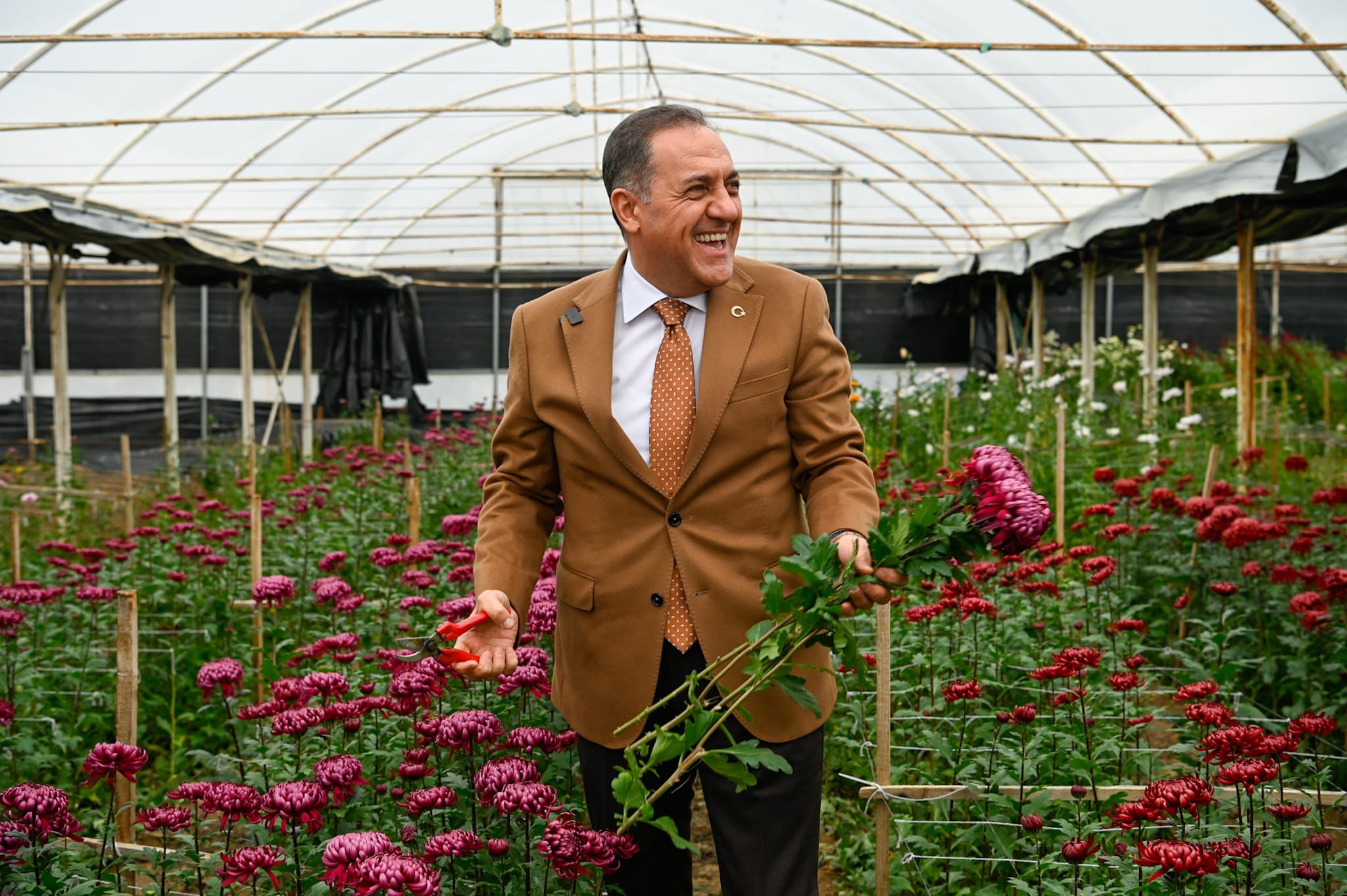 I M G 20260211 W A0006