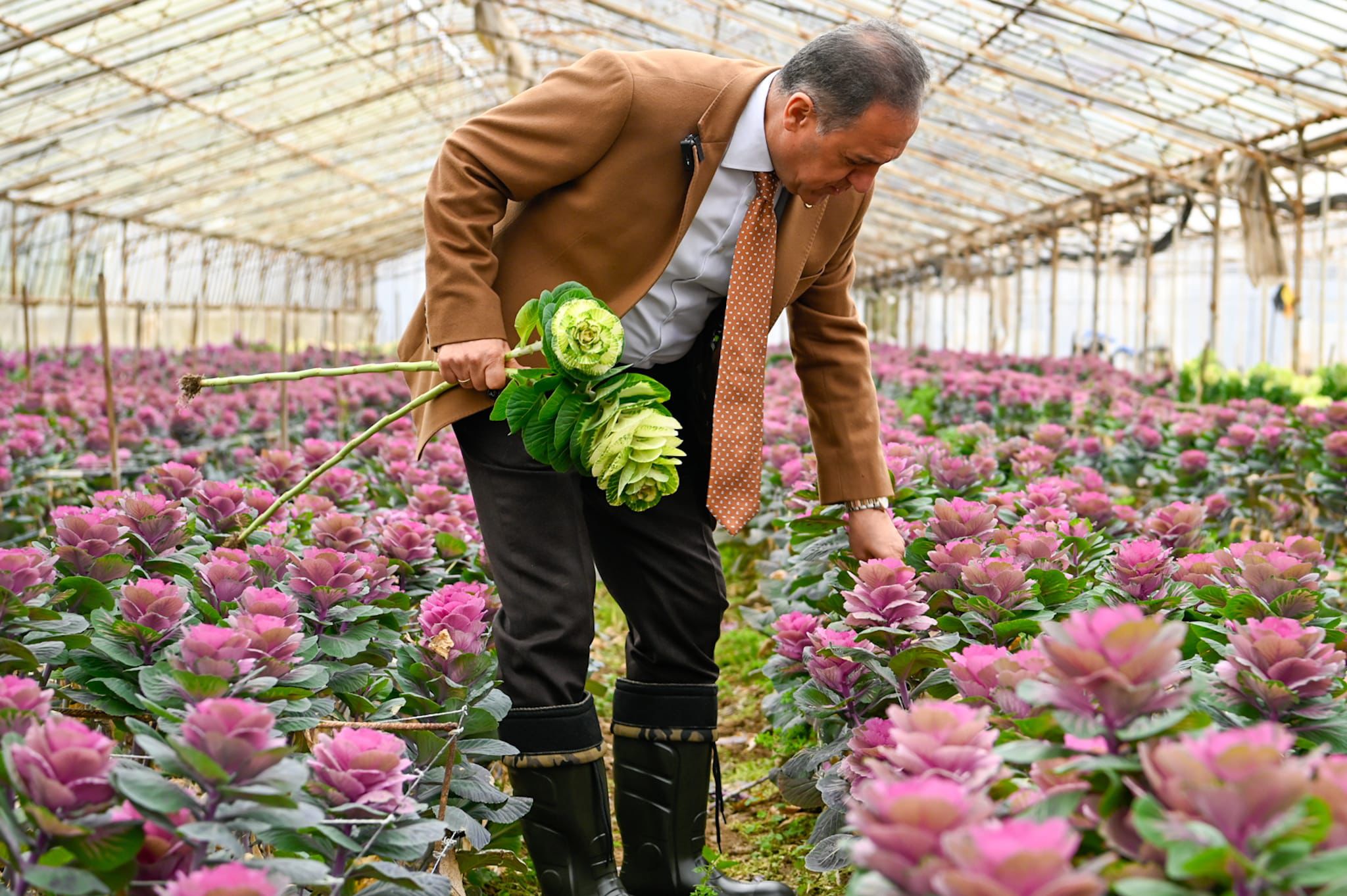 I M G 20260211 W A0008